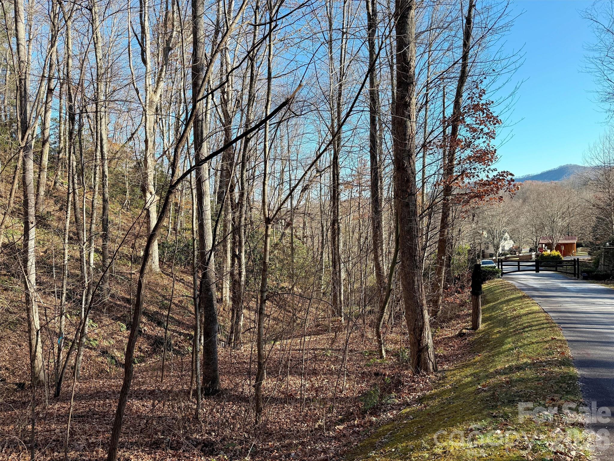 Lot at 00 Mountain Watch Drive, Maggie Valley, photo 14 of 25