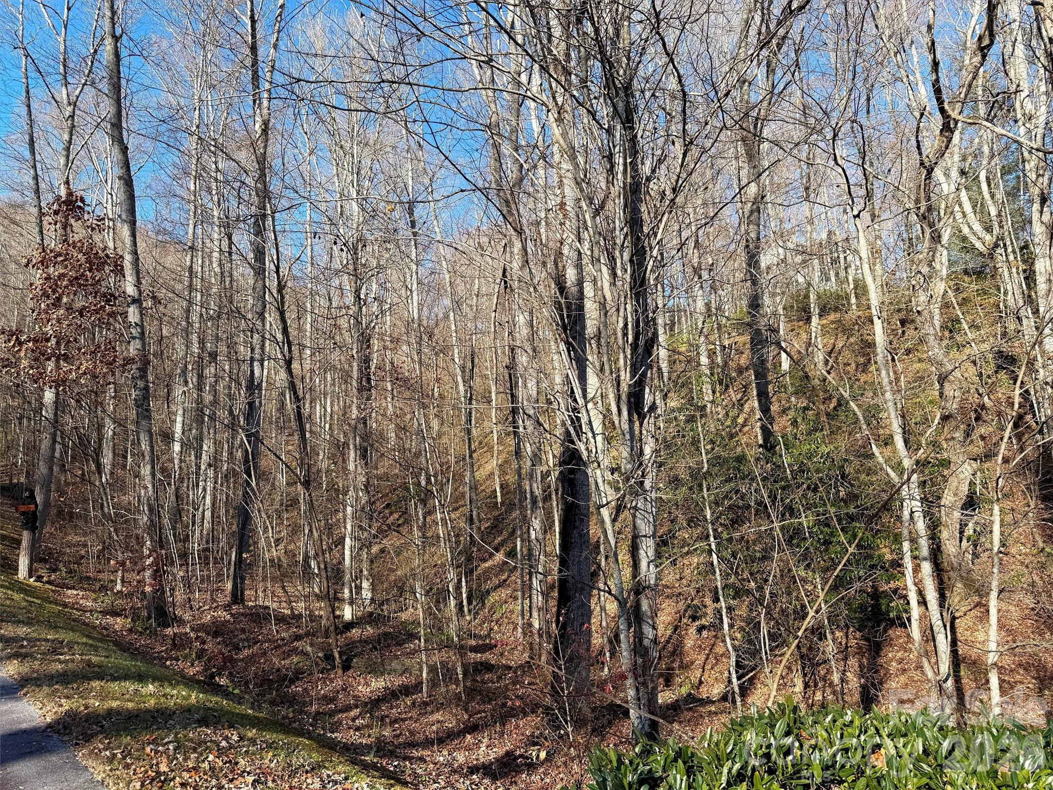 Lot at 00 Mountain Watch Drive, Maggie Valley, photo 15 of 25