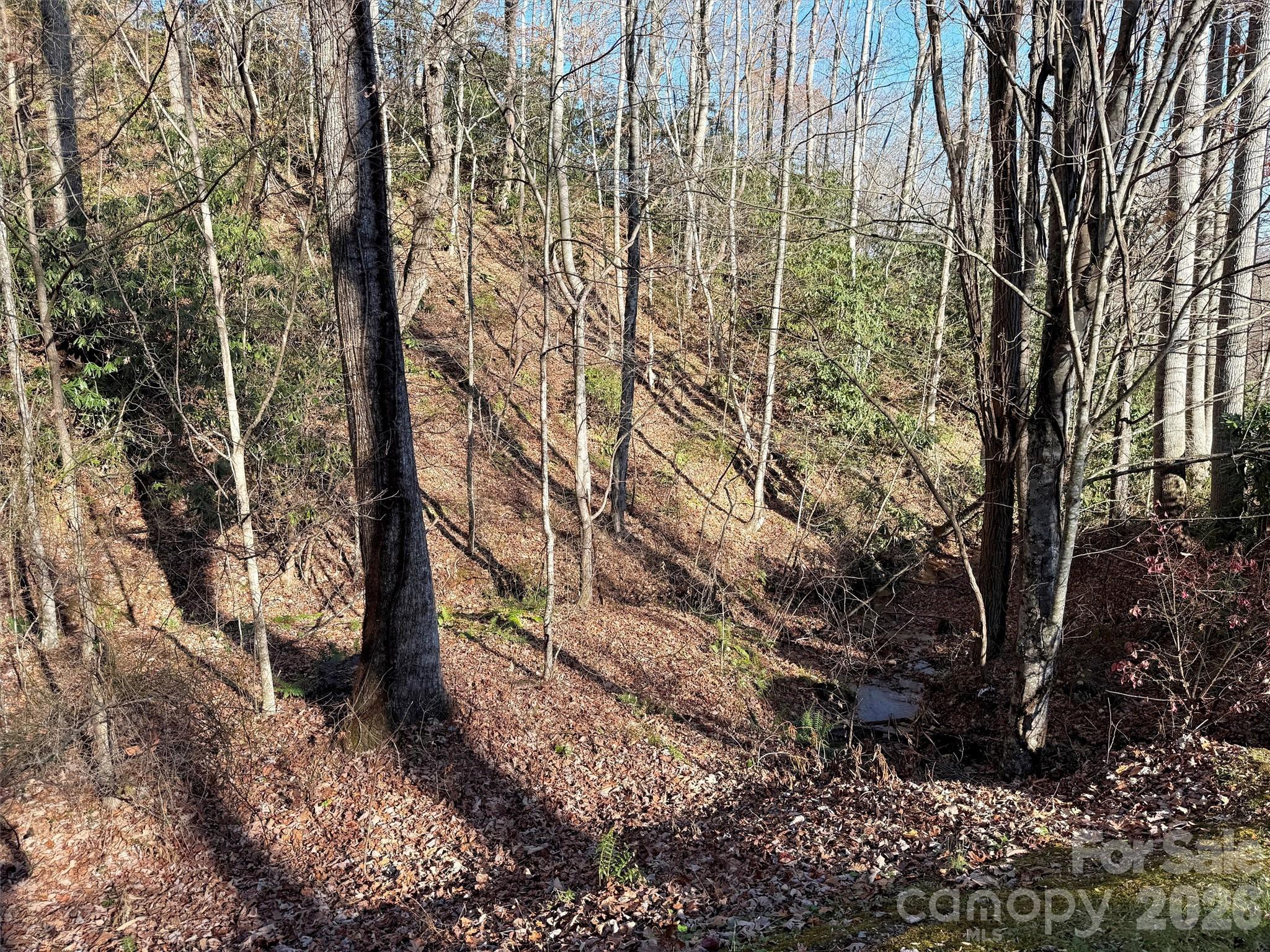 Lot at 00 Mountain Watch Drive, Maggie Valley, photo 16 of 25