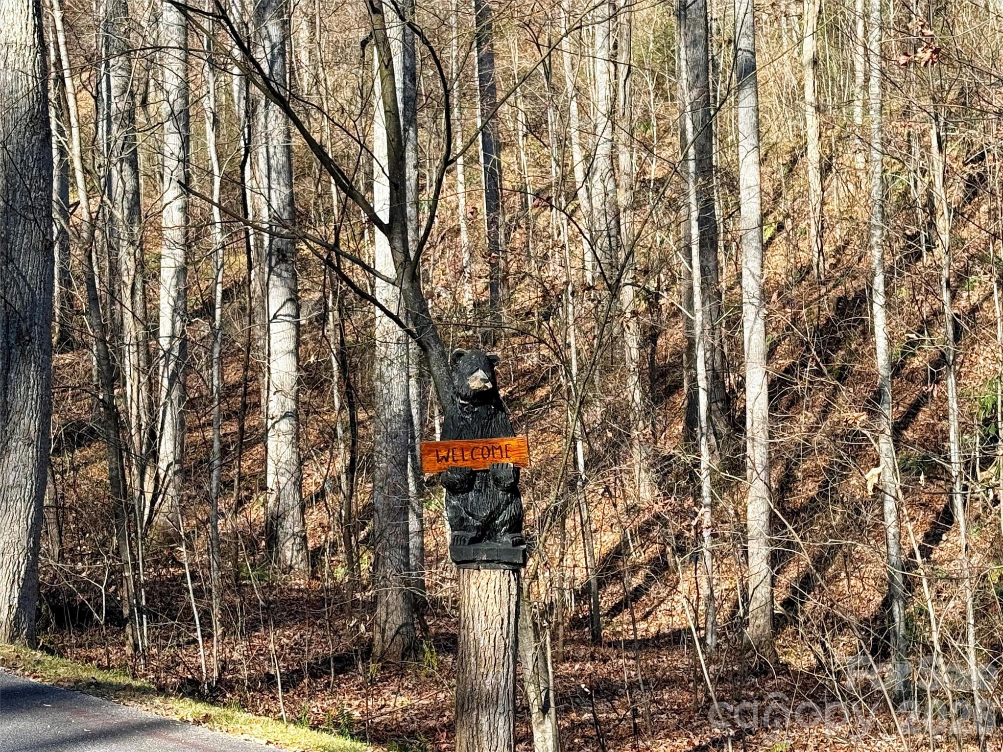 Lot at 00 Mountain Watch Drive, Maggie Valley, photo 18 of 25