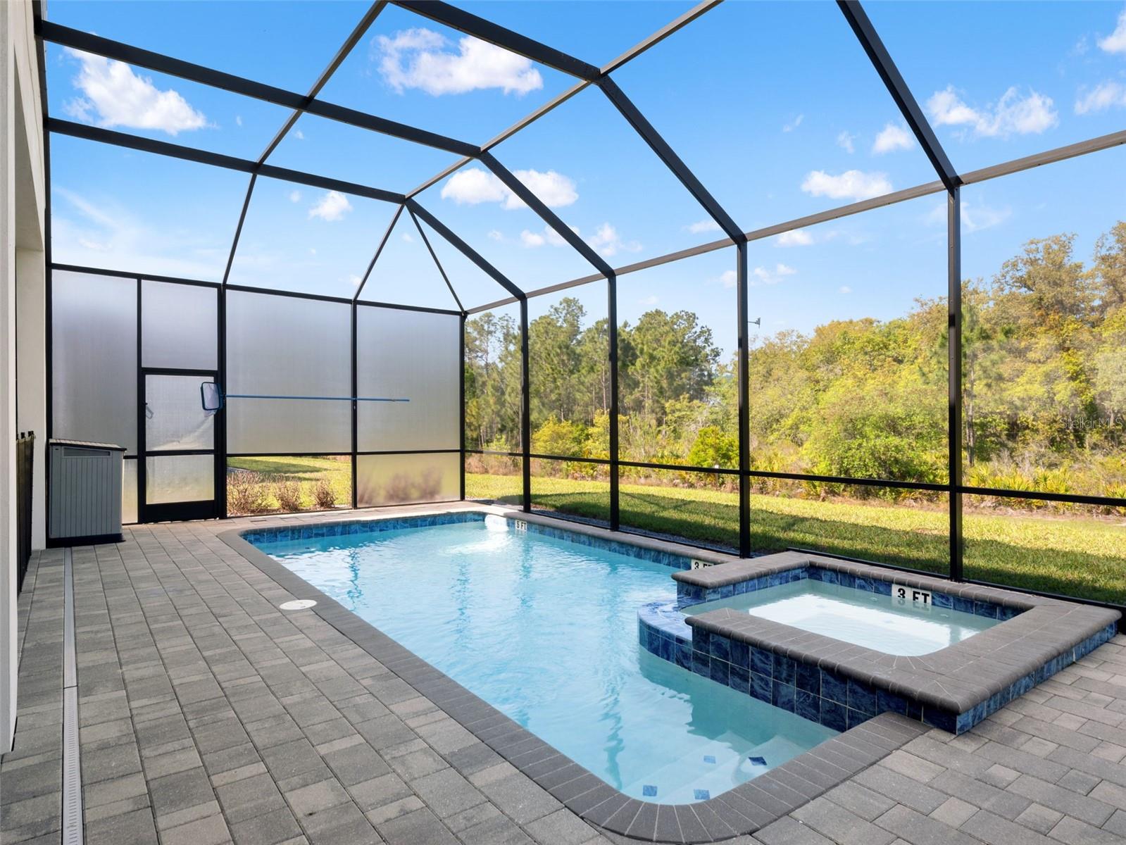 Luxurious pool with spa - 2021 OAK CREEK LOOP, DAVENPORT