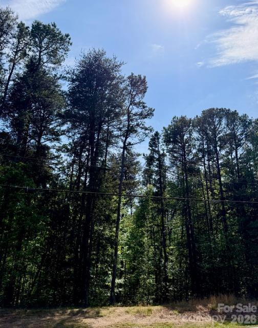 Beautiful Trees - 0000 Faith Road, Mooresville