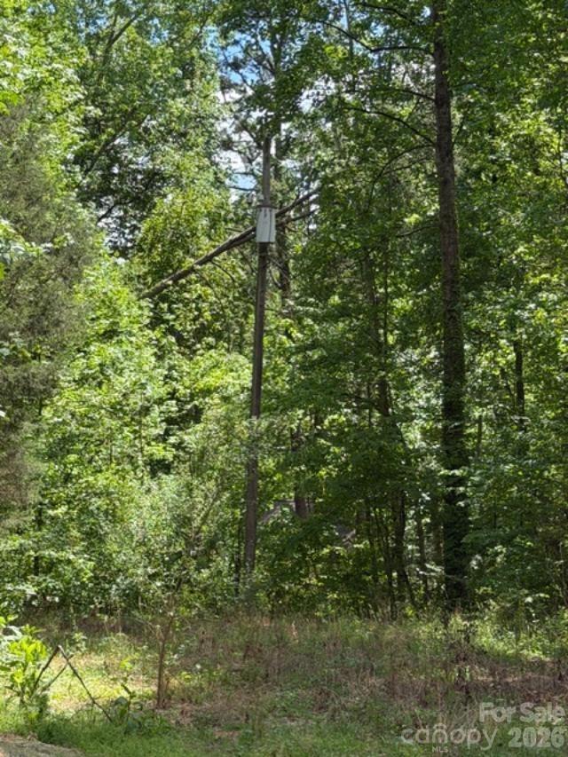 Lot at 0000 Faith Road, Mooresville, photo 3 of 3