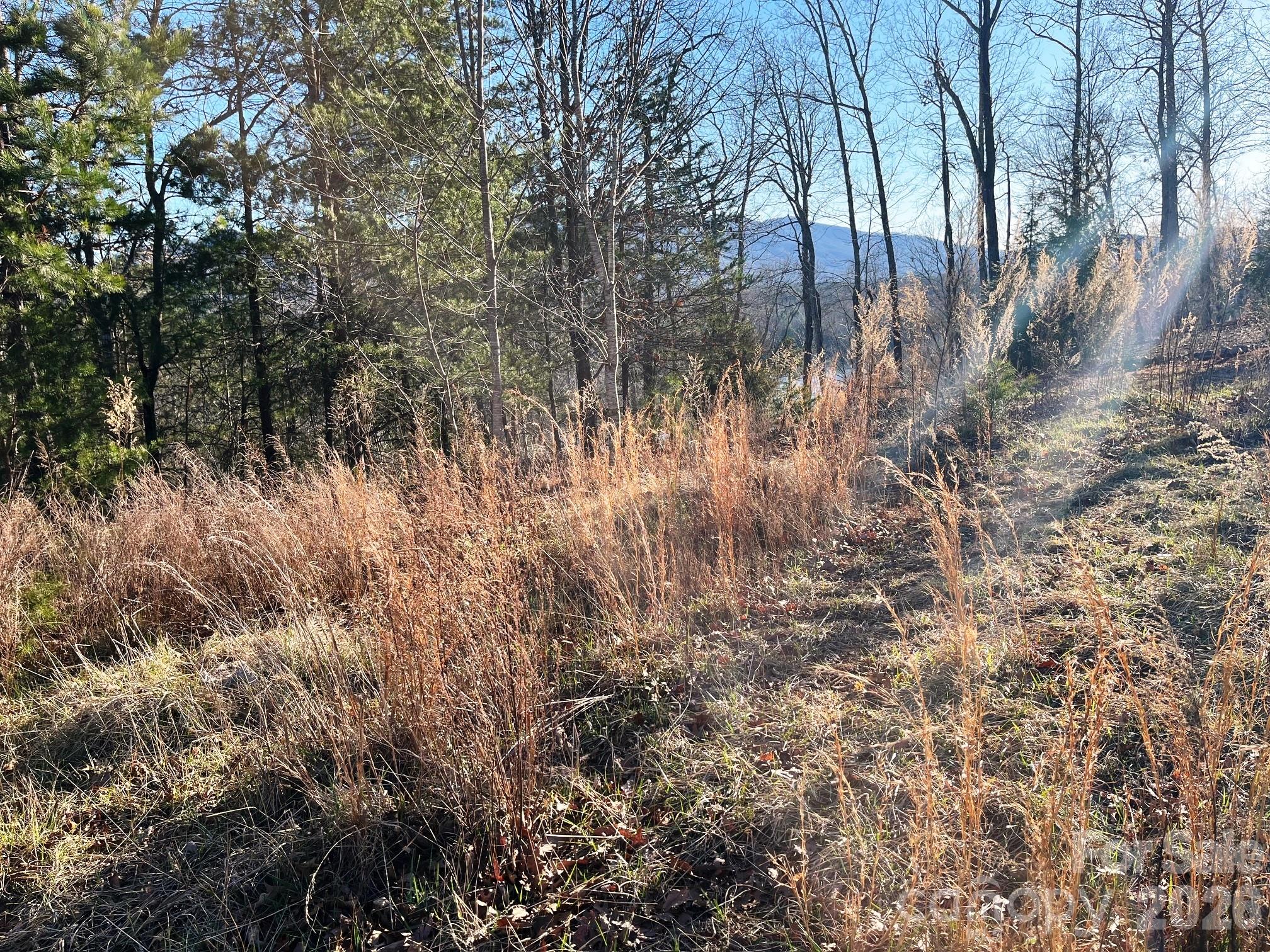 Lot at Lot 30 Mountain Parkway, Mill Spring, photo 5 of 14