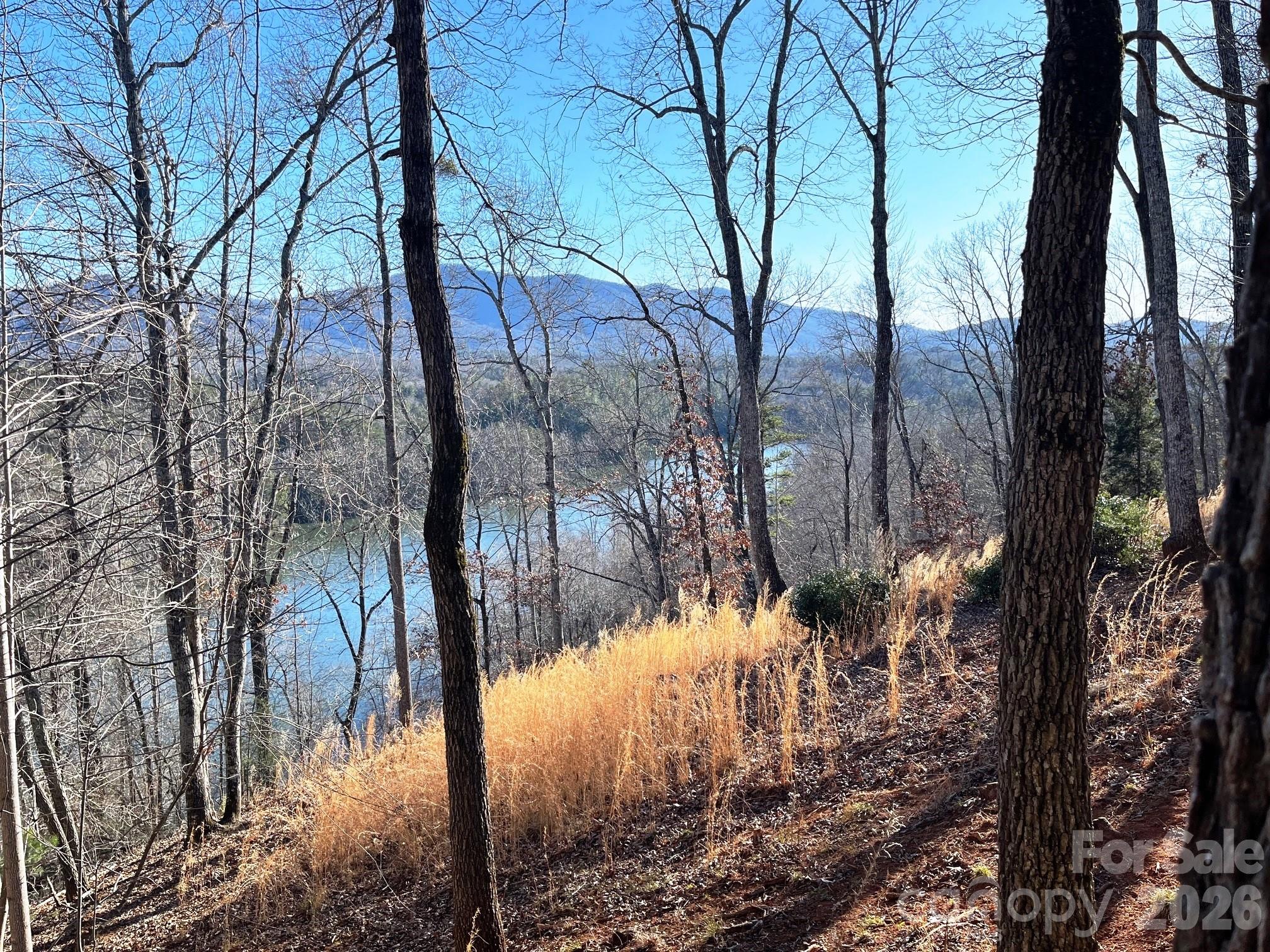Lot at Lot 30 Mountain Parkway, Mill Spring, photo 6 of 14