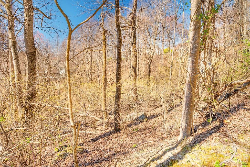 Mountain skyline in the background. - 461 Somersby Parkway, Hendersonville