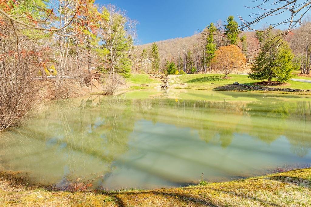 Community Pond. Come visit today. - 461 Somersby Parkway, Hendersonville