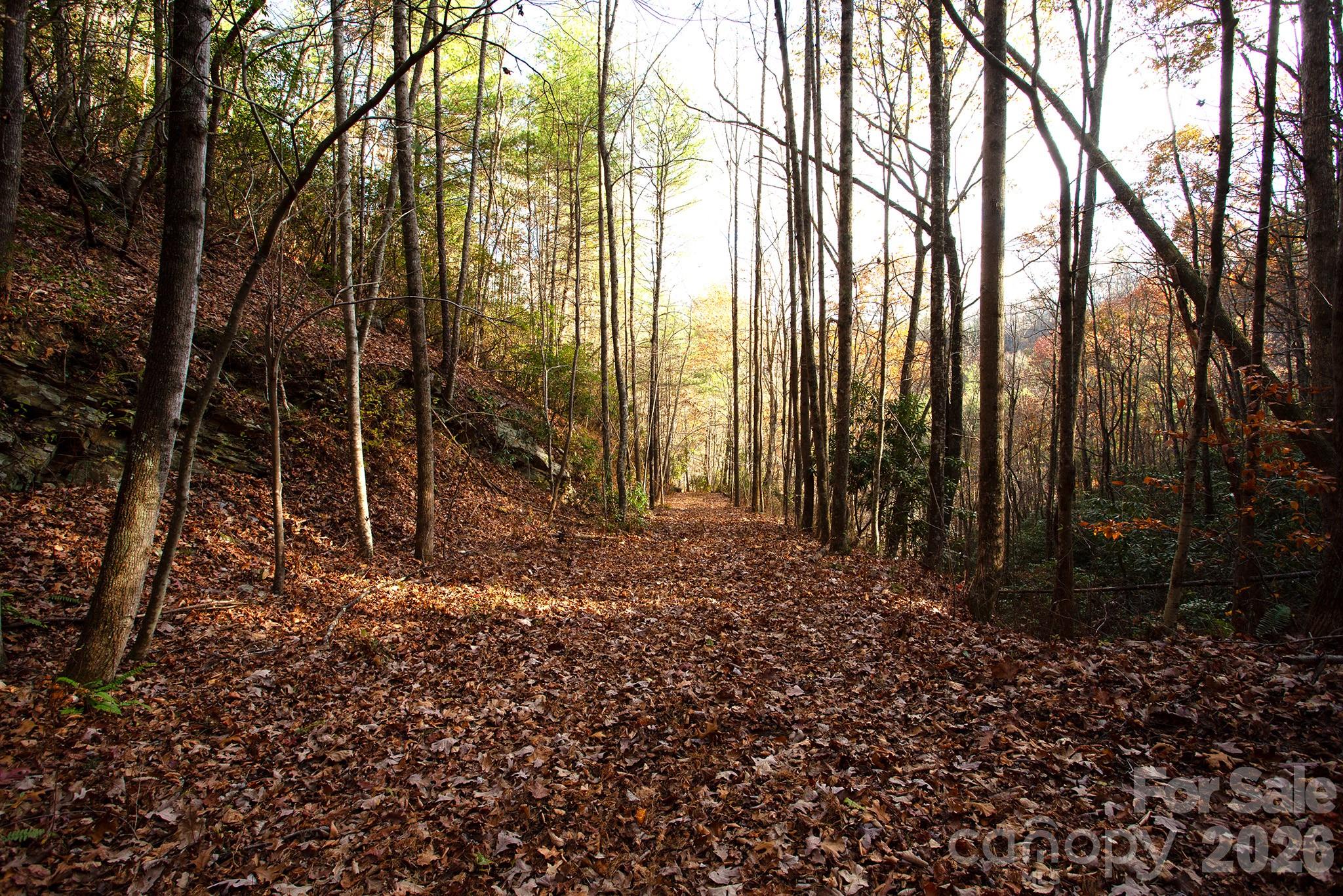 Acreage at TBD Rector Branch Road, Marshall, photo 2 of 8