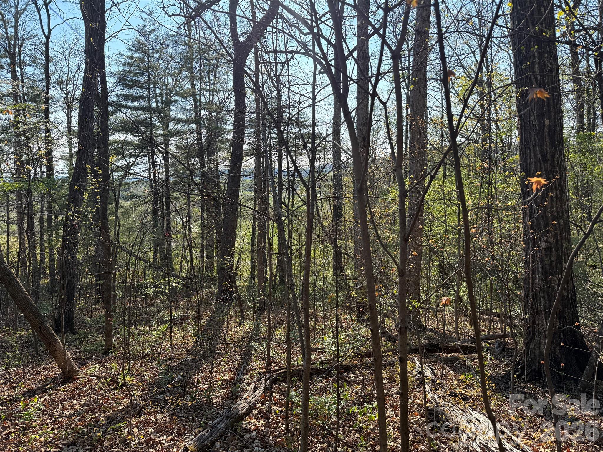 Lot at 000 Woodlyn Etch Drive, Hendersonville, photo 2 of 15