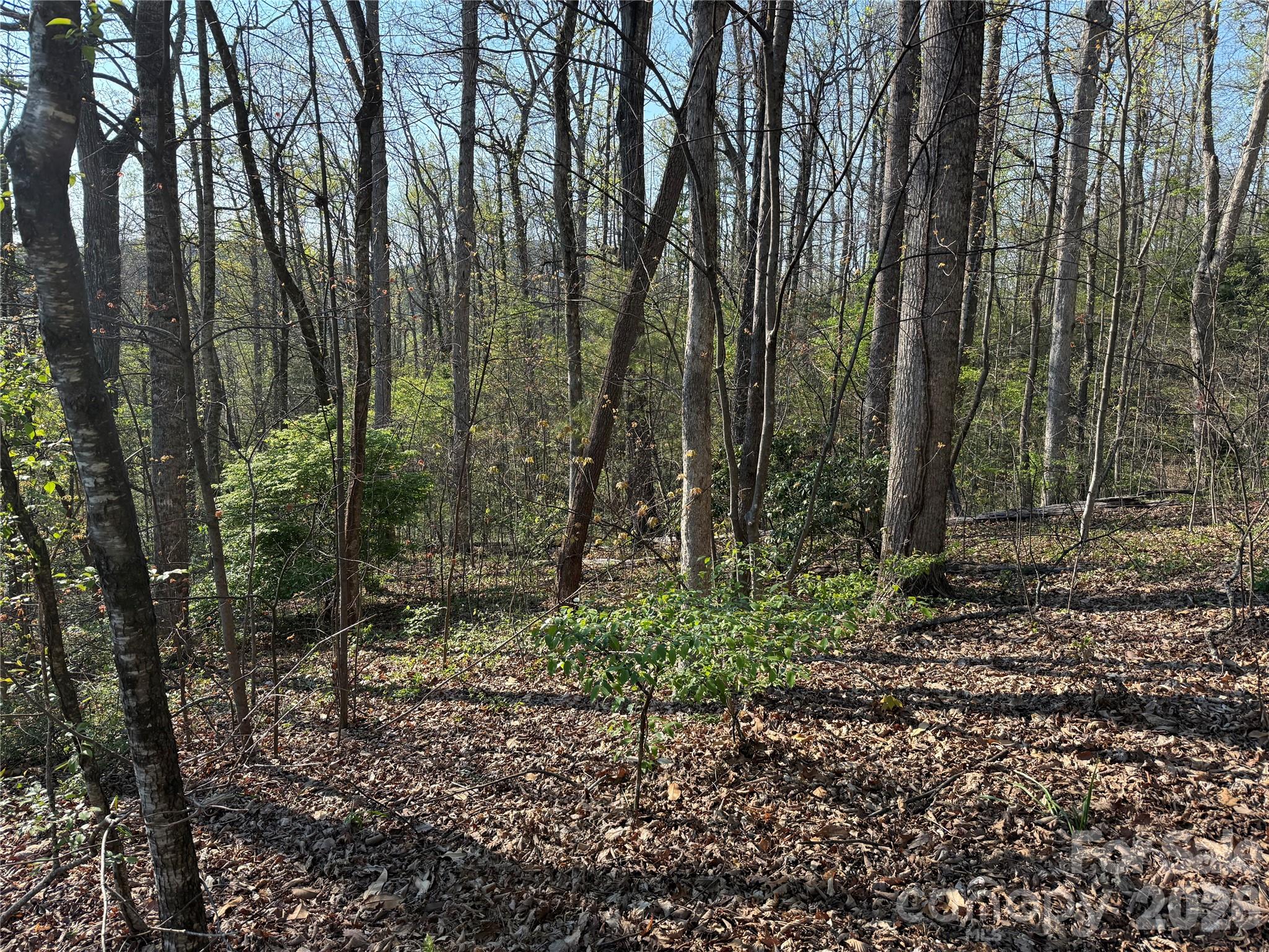 Lot at 000 Woodlyn Etch Drive, Hendersonville, photo 3 of 15