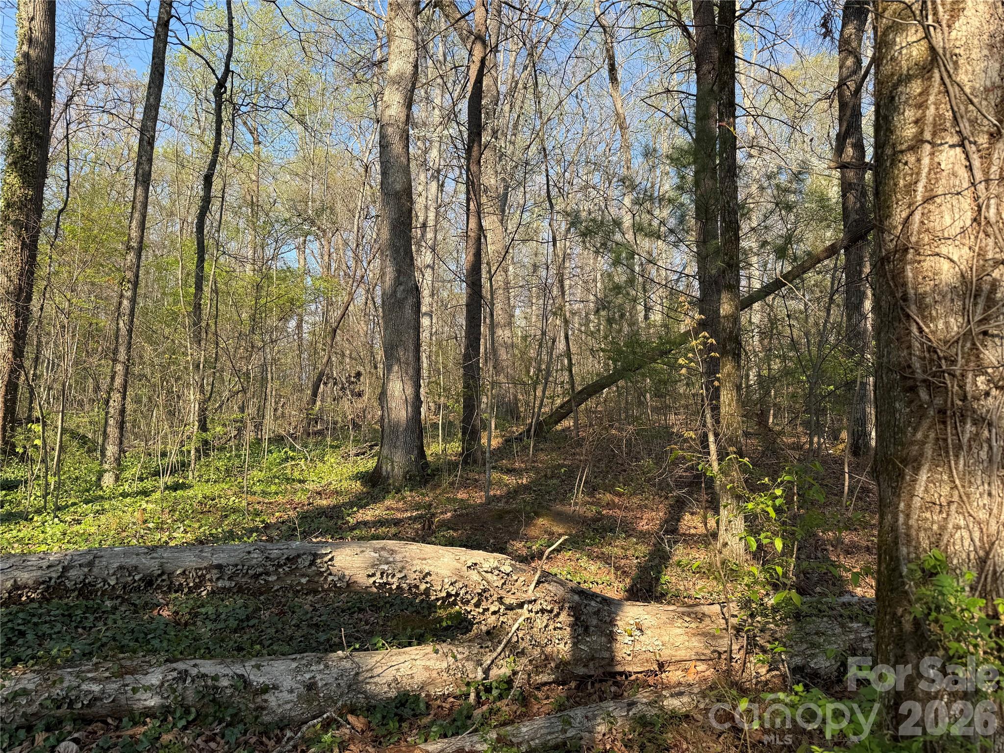 Lot at 000 Woodlyn Etch Drive, Hendersonville, photo 4 of 15