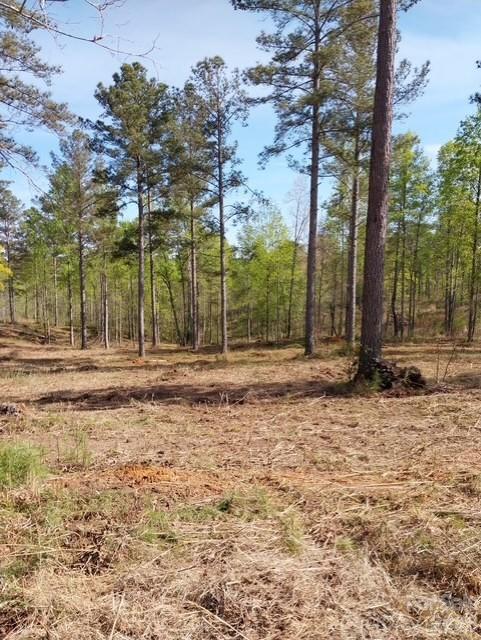 Lot at 2158 Jumping Run, Connelly Springs, photo 17 of 29