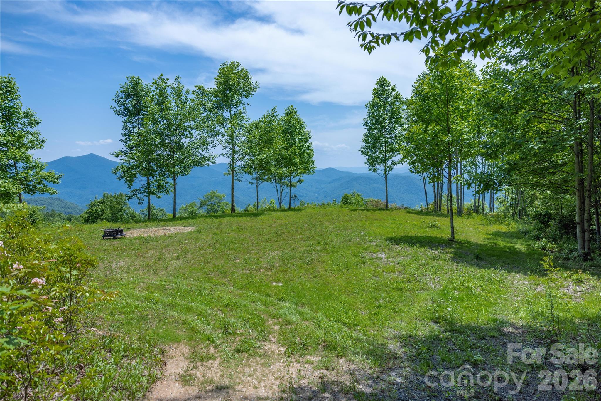 building and View area - 3409 Parris Branch Road, Sylva
