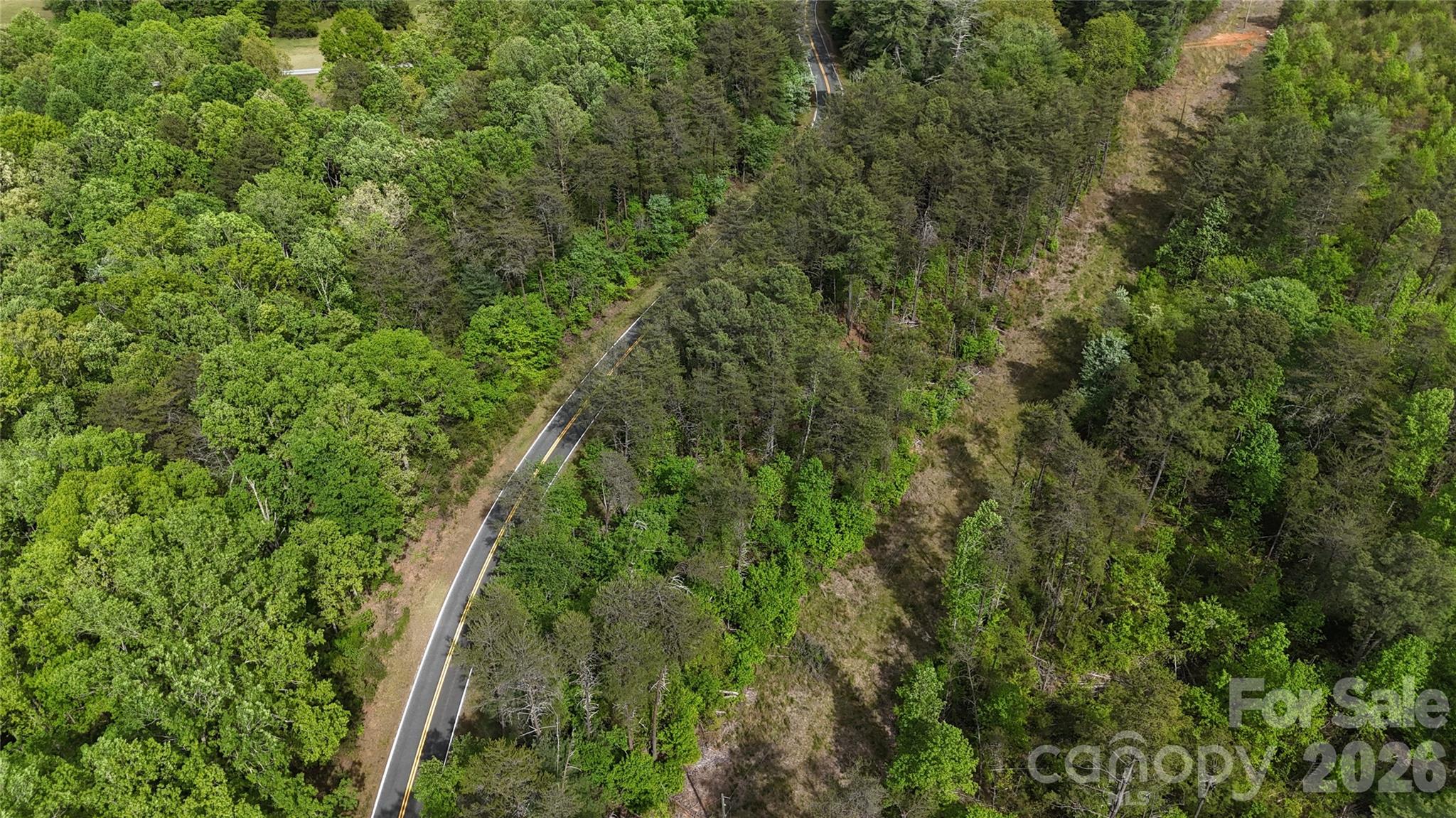 Acreage at 0 Polk County Line Road, Rutherfordton, photo 4 of 25