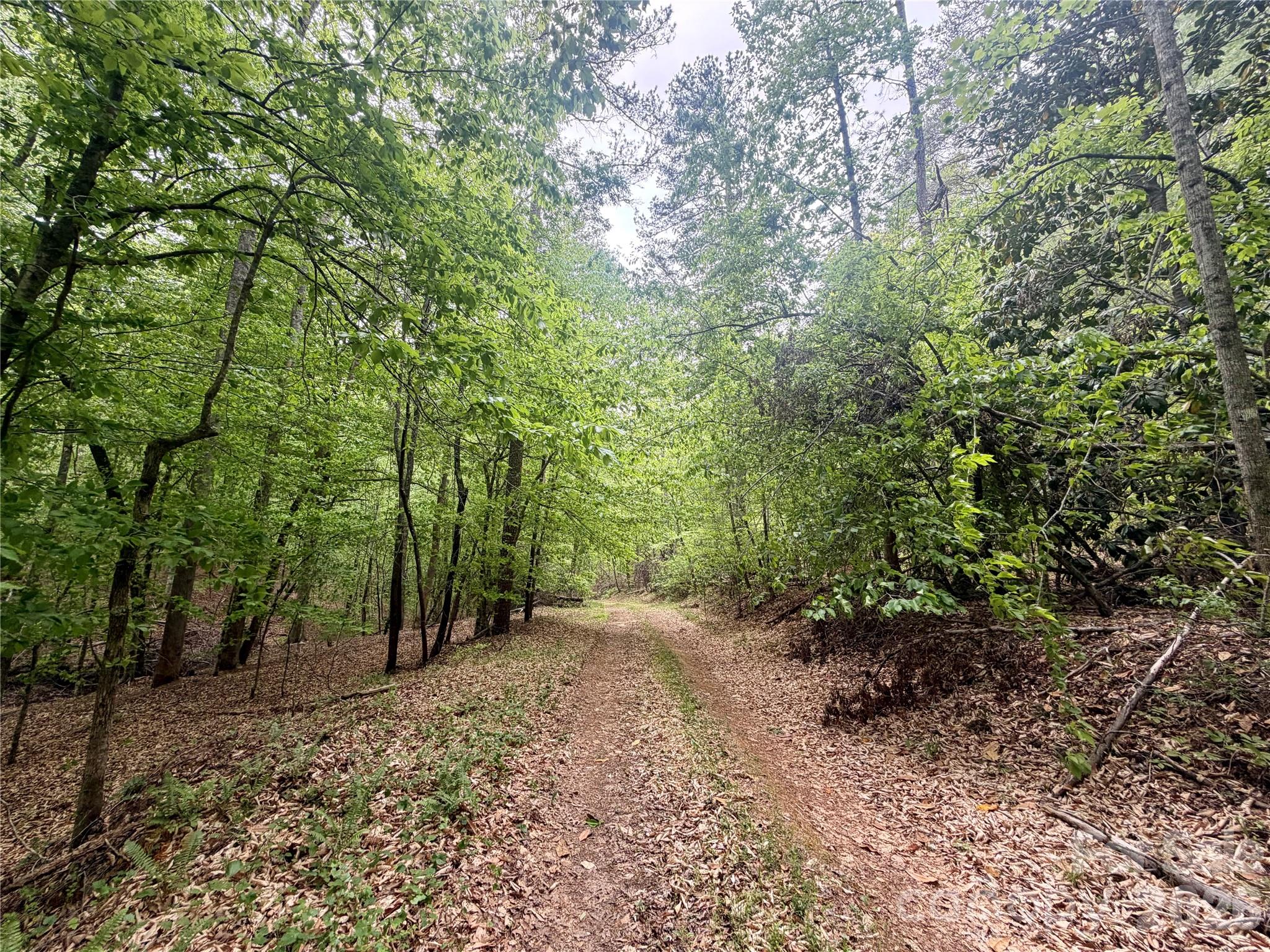 Acreage at 0 Polk County Line Road, Rutherfordton, photo 2 of 25