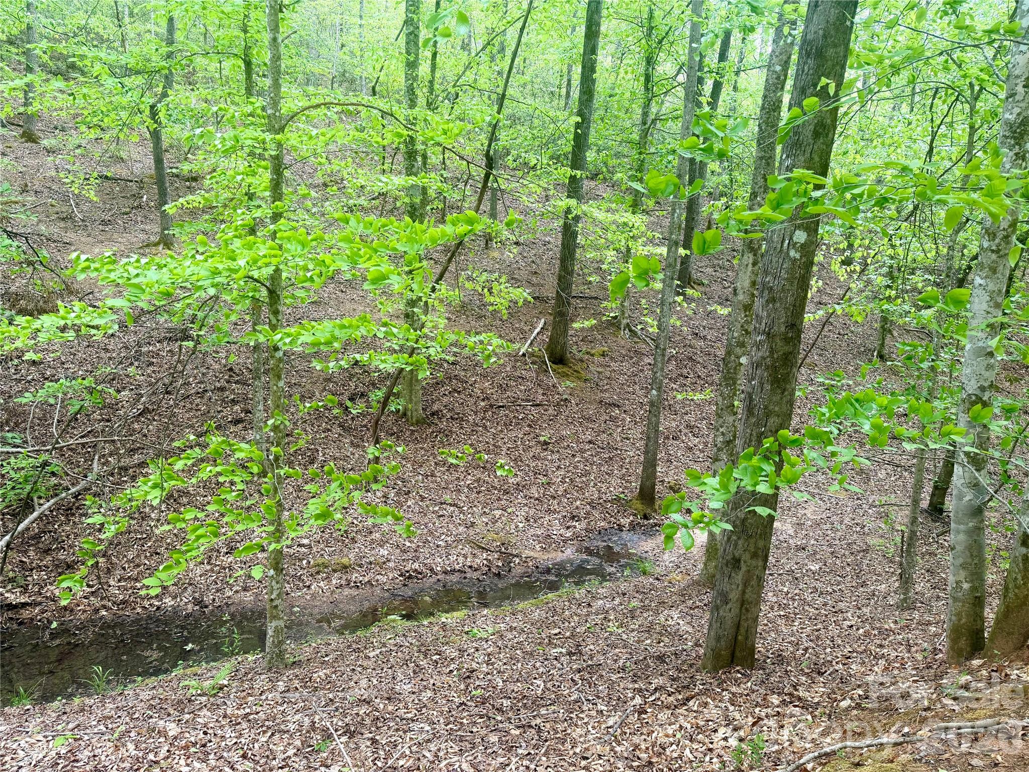 Acreage at 0 Polk County Line Road, Rutherfordton, photo 3 of 25
