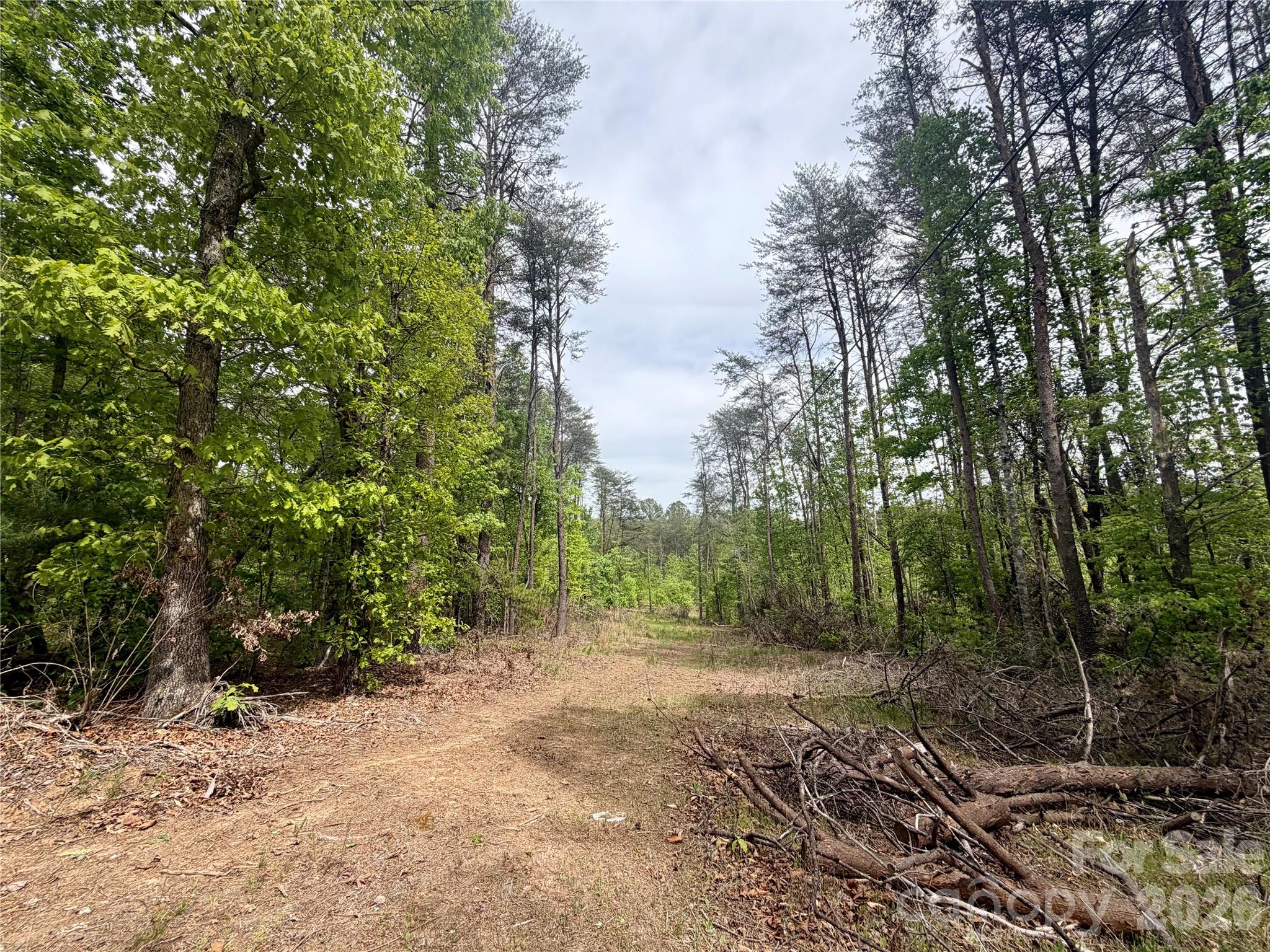 Acreage at 0 Polk County Line Road, Rutherfordton, photo 6 of 25