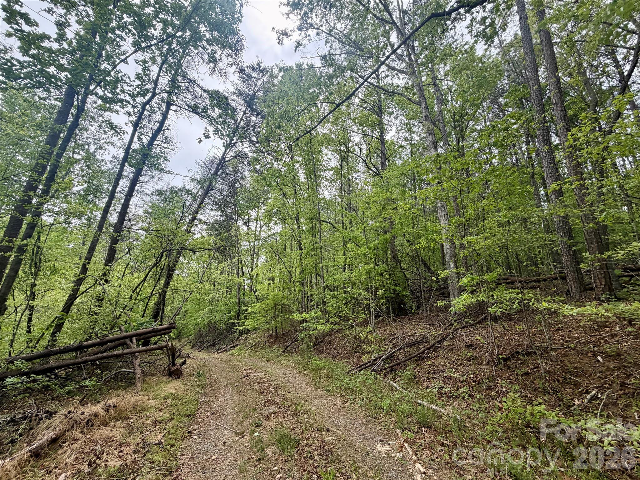 Acreage at 0 Polk County Line Road, Rutherfordton, photo 7 of 25