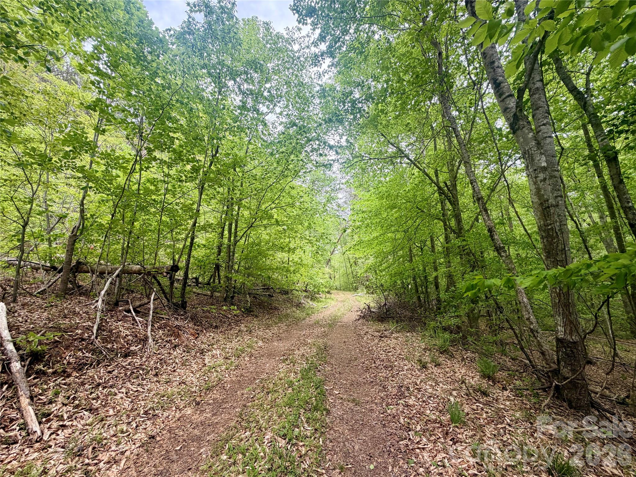 Acreage at 0 Polk County Line Road, Rutherfordton, photo 9 of 25