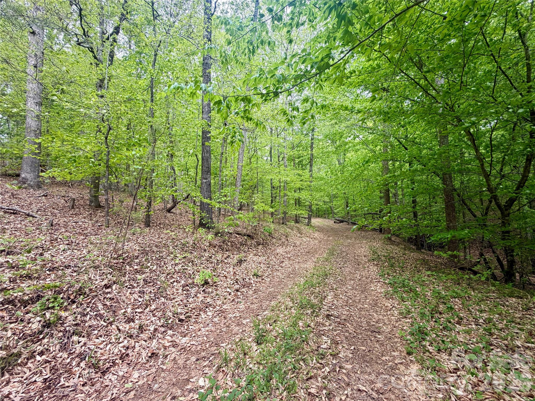 Acreage at 0 Polk County Line Road, Rutherfordton, photo 13 of 25