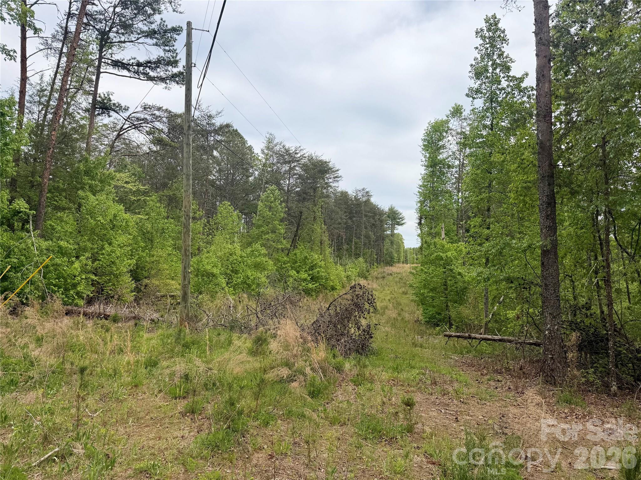 Acreage at 0 Polk County Line Road, Rutherfordton, photo 16 of 25