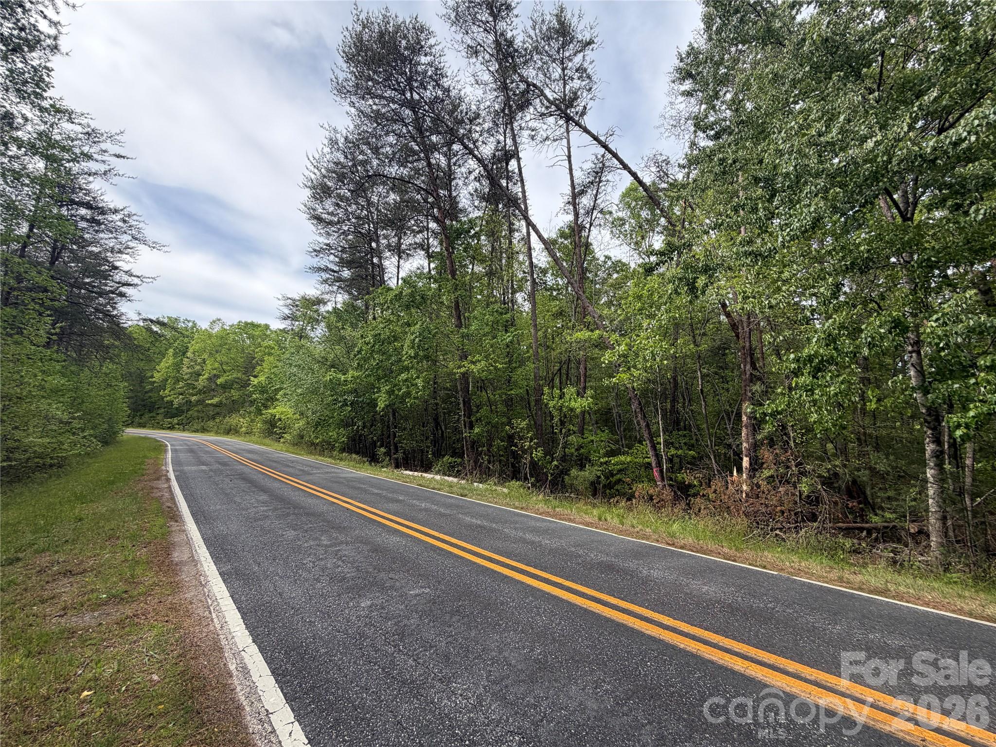 Acreage at 0 Polk County Line Road, Rutherfordton, photo 18 of 25