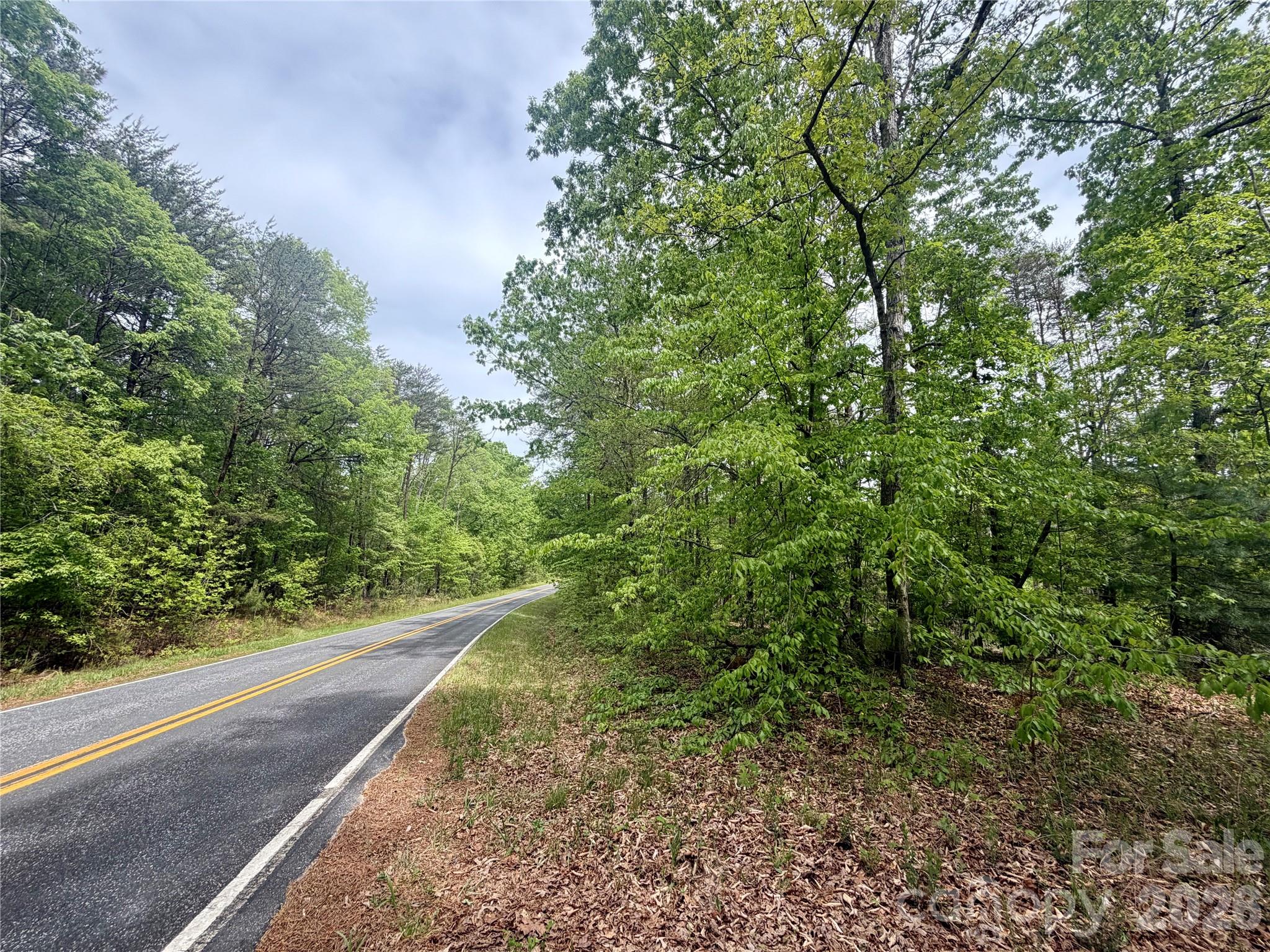 Acreage at 0 Polk County Line Road, Rutherfordton, photo 21 of 25