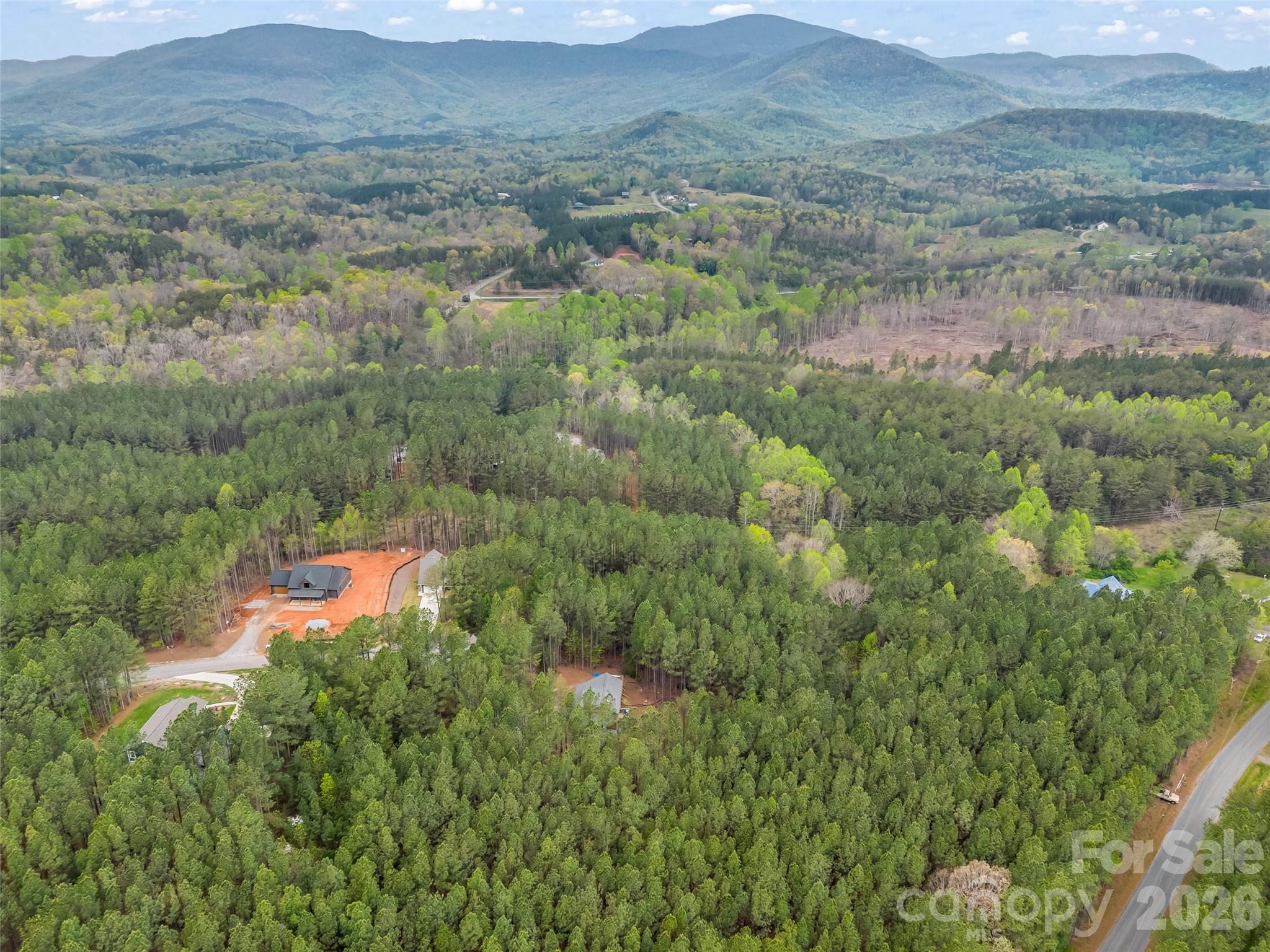 Single Family Residence at 120 Ashley Court, Mill Spring, photo 39 of 44