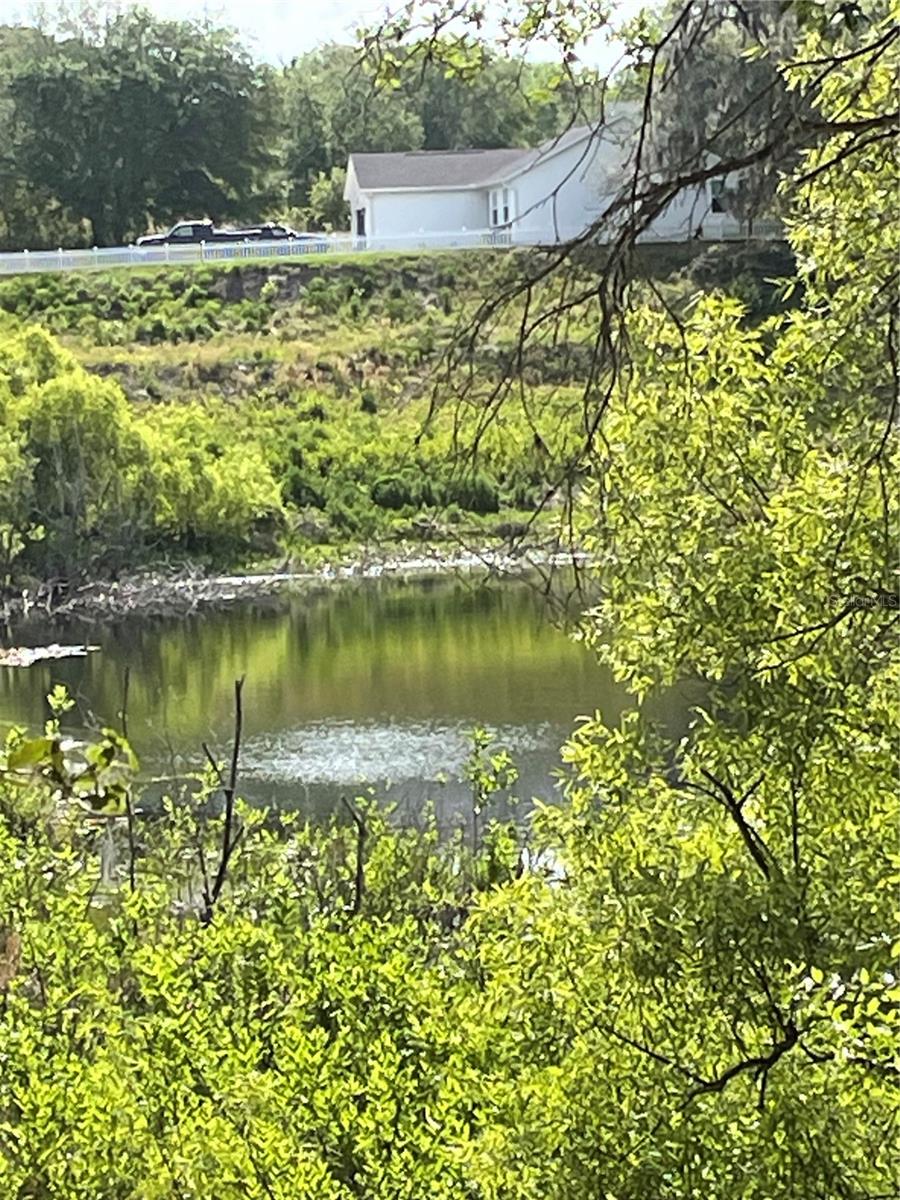 REDBUD RD