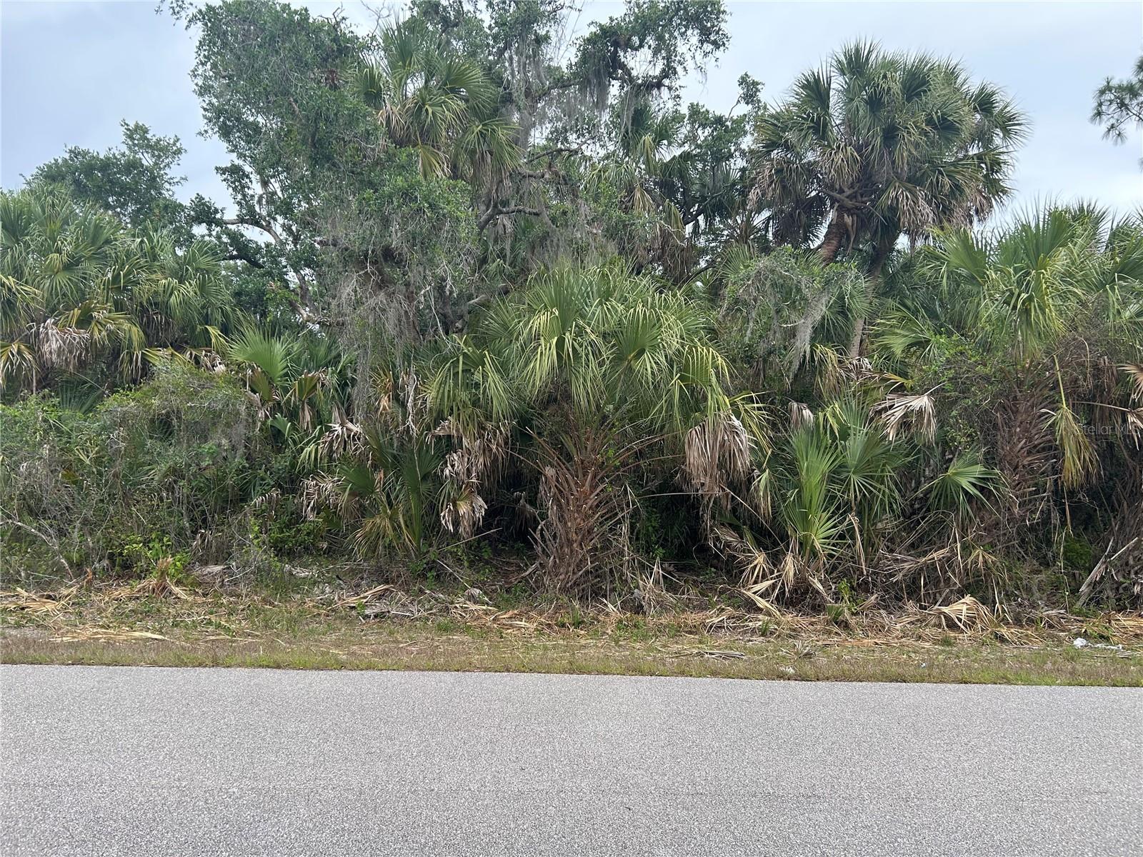 Land at BASKET ST, NORTH PORT