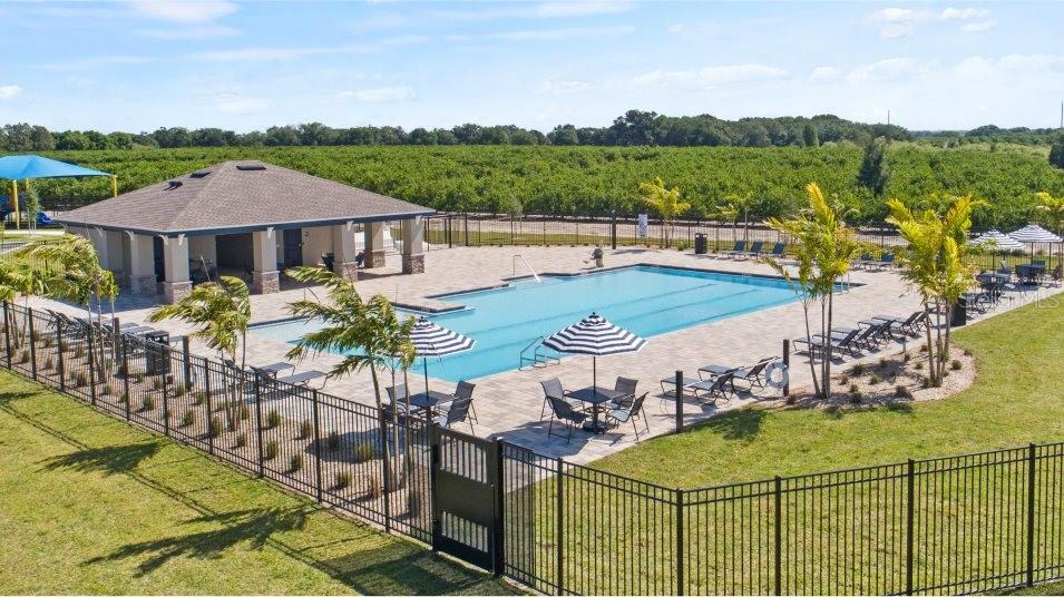 Amenities - Pool - 3048 CAPTAIN JAX WAY, WINTER HAVEN