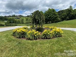 Grand Highlands lush greenery, landscaping - 4642 Bearwallow Mountain Road, Hendersonville