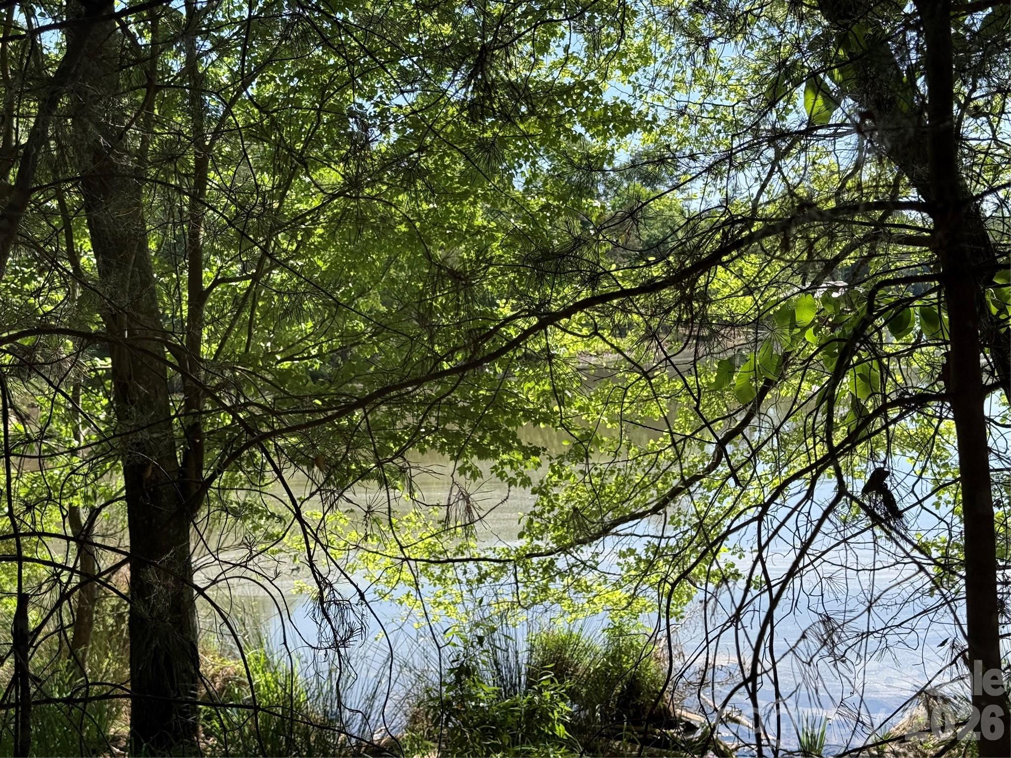 Lake Front - Year round water views! - 18524 Mainsail Court, Lancaster