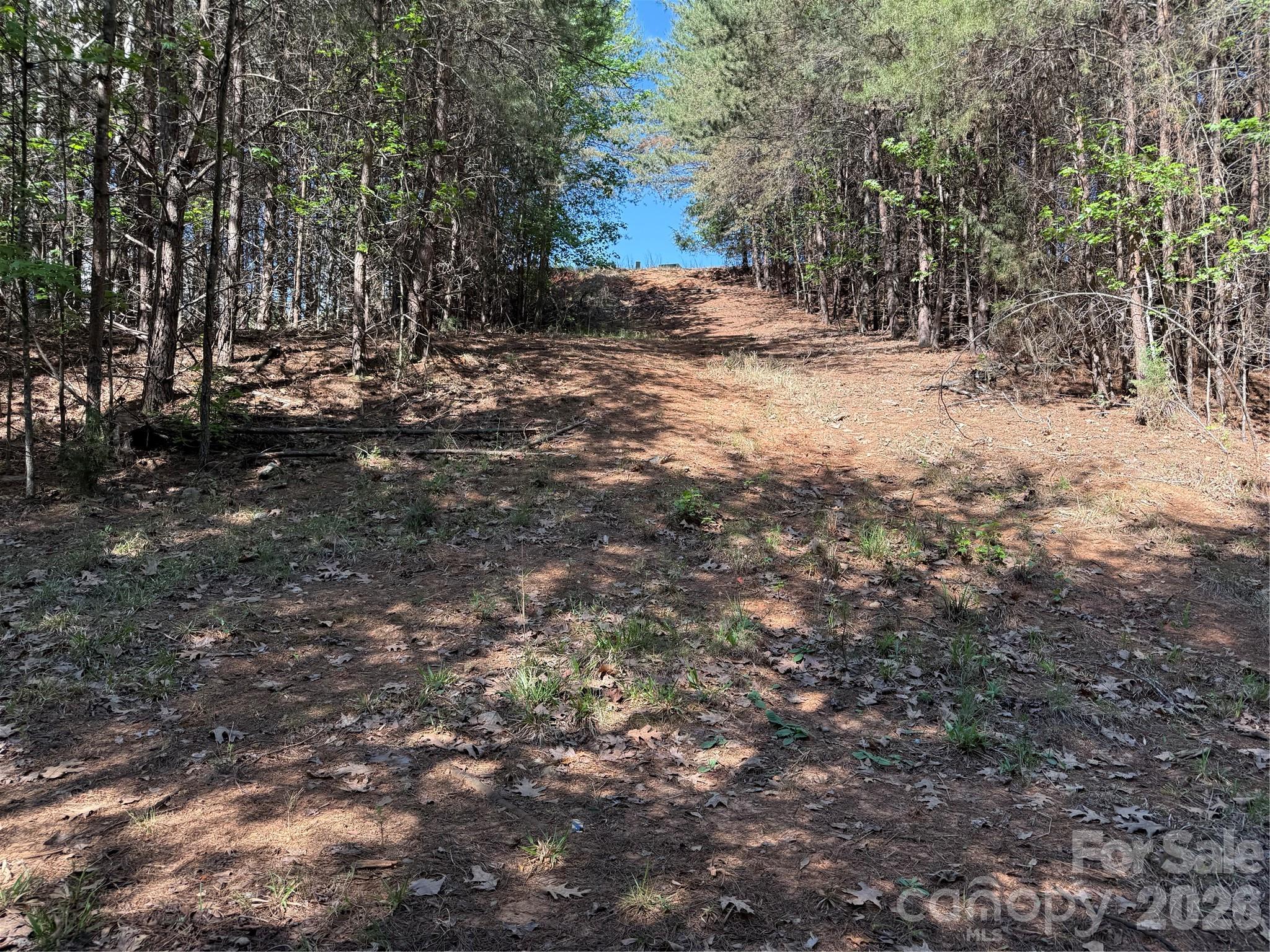 view from middle of lot - 18524 Mainsail Court, Lancaster