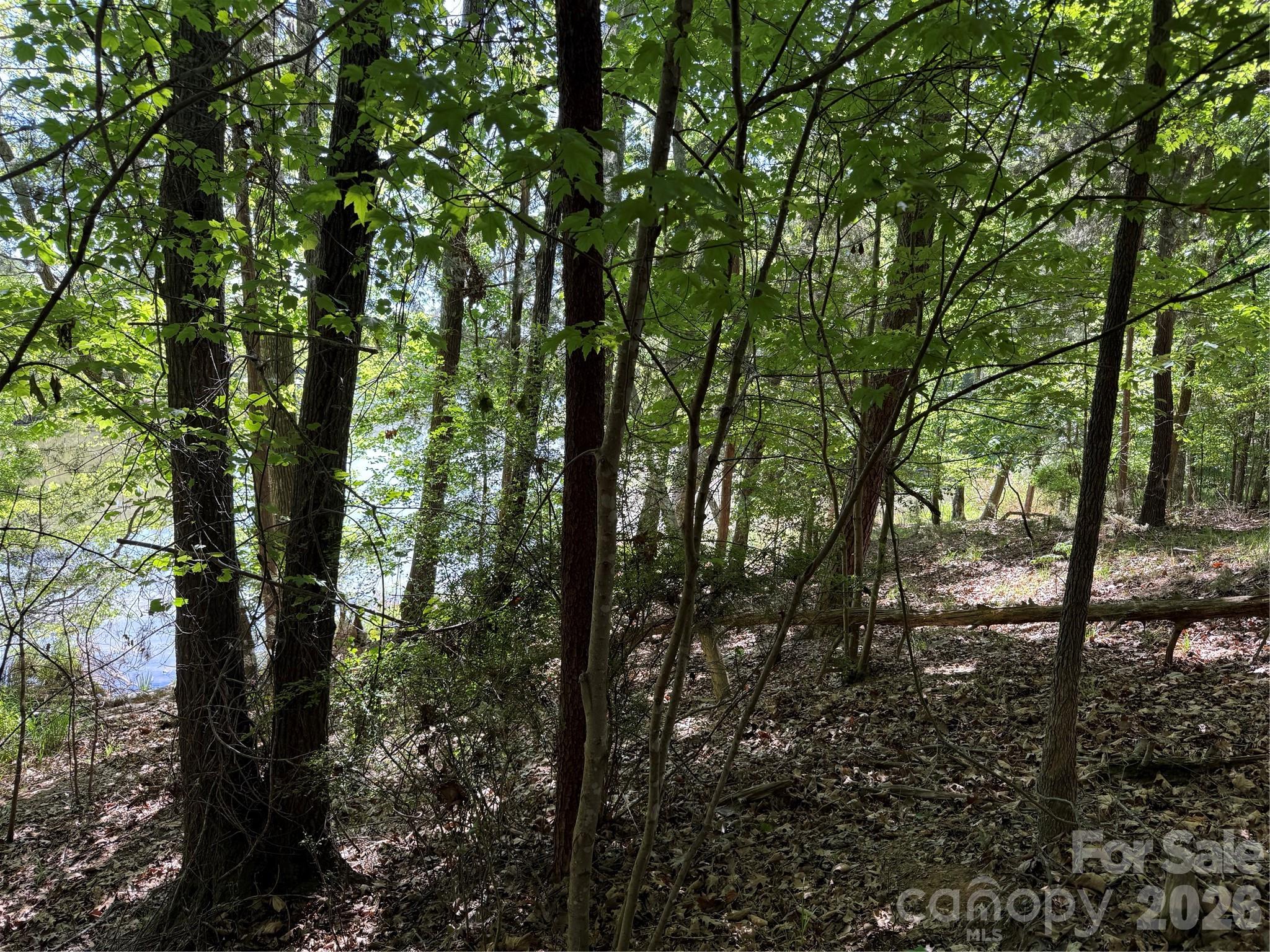 Lot at 18524 Mainsail Court, Lancaster, photo 9 of 46