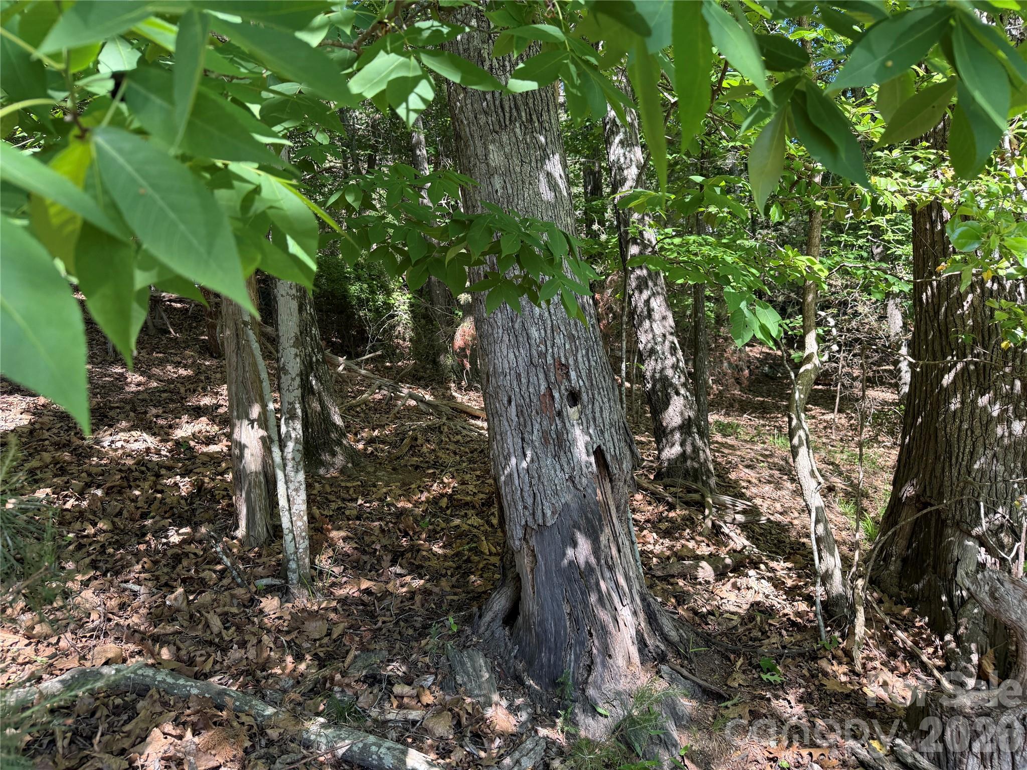 Lot at 18524 Mainsail Court, Lancaster, photo 11 of 46