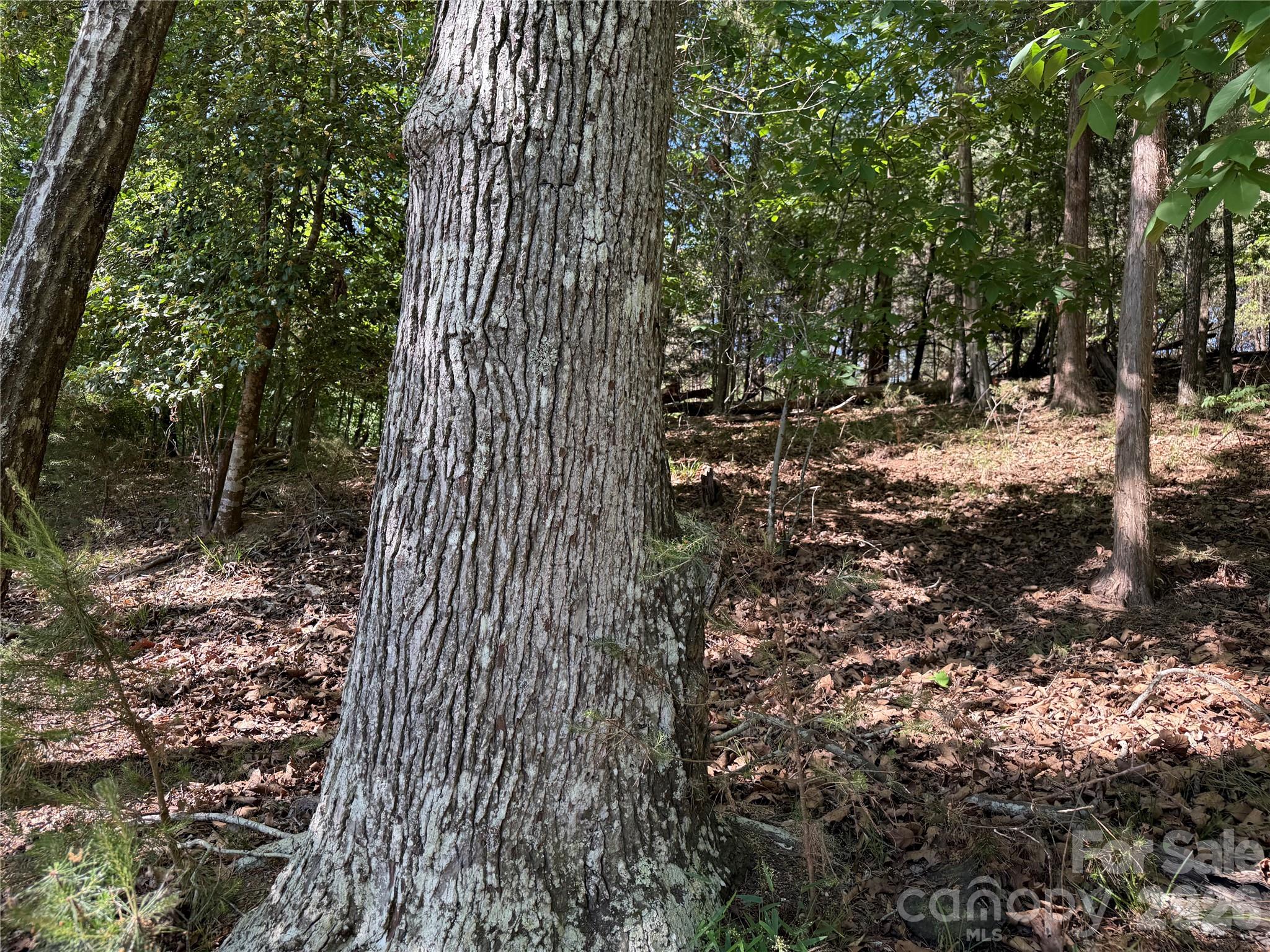 Lot at 18524 Mainsail Court, Lancaster, photo 36 of 46