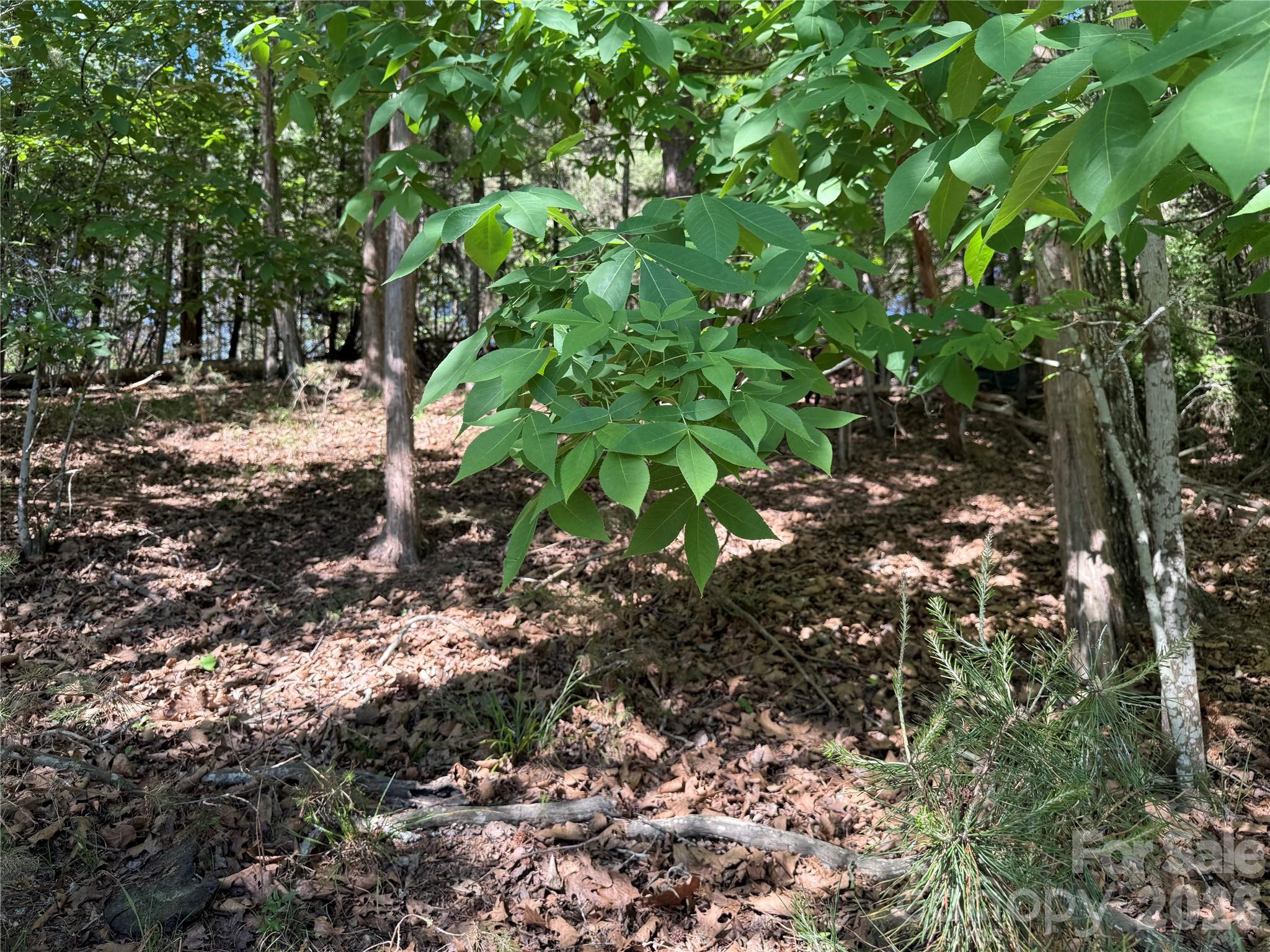 Lot at 18524 Mainsail Court, Lancaster, photo 40 of 46