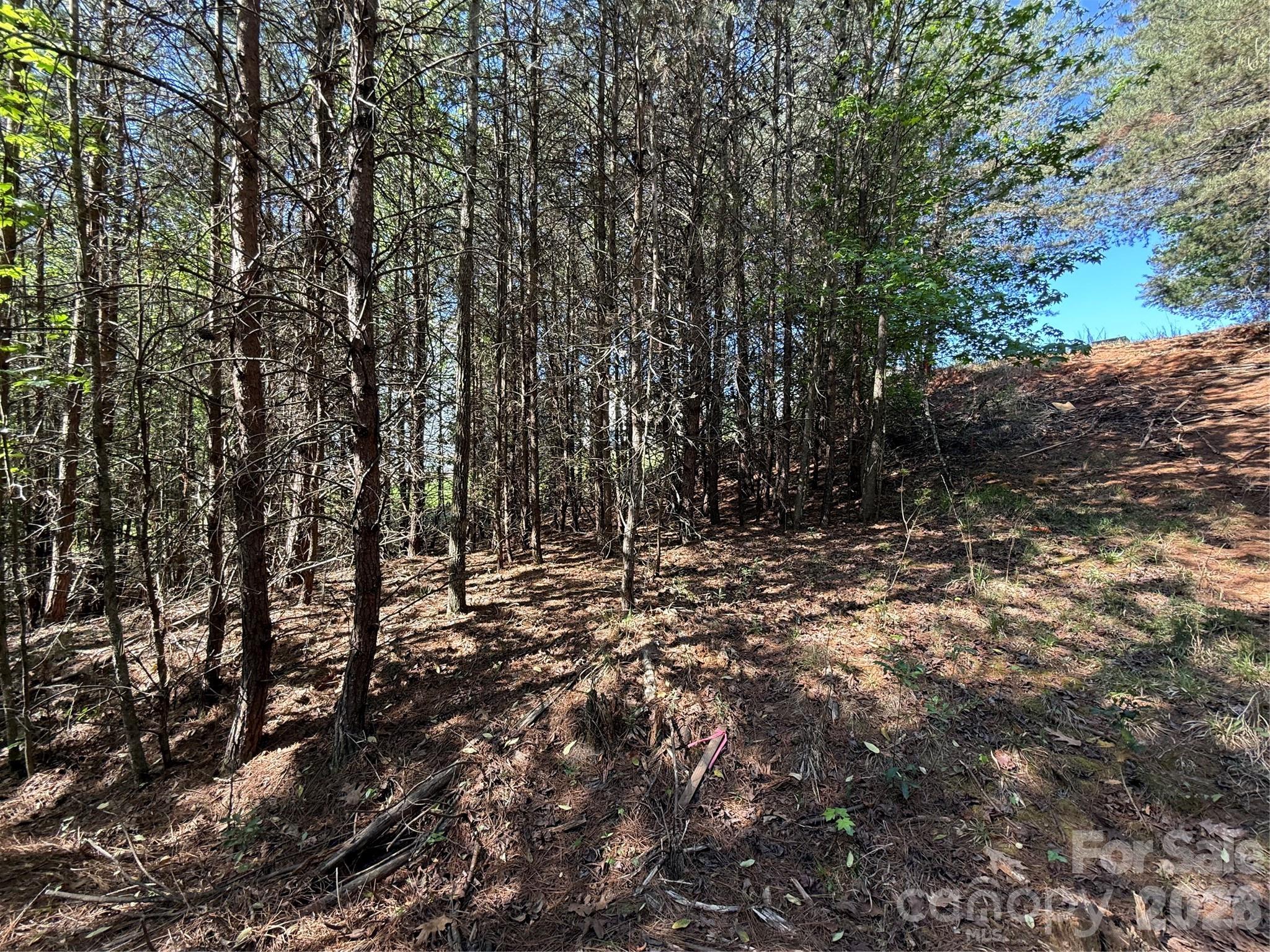 Lot at 18524 Mainsail Court, Lancaster, photo 42 of 46