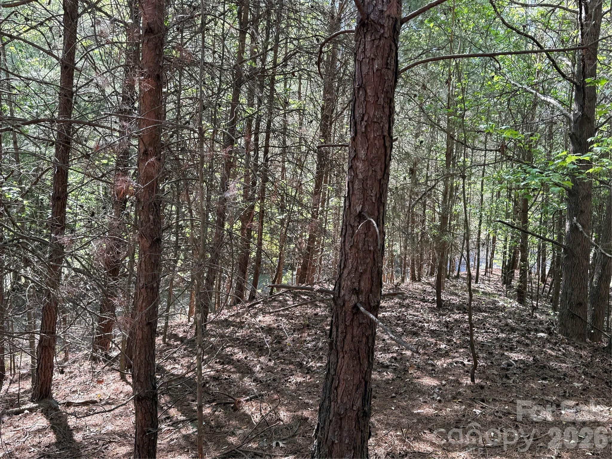 Lot at 18524 Mainsail Court, Lancaster, photo 43 of 46
