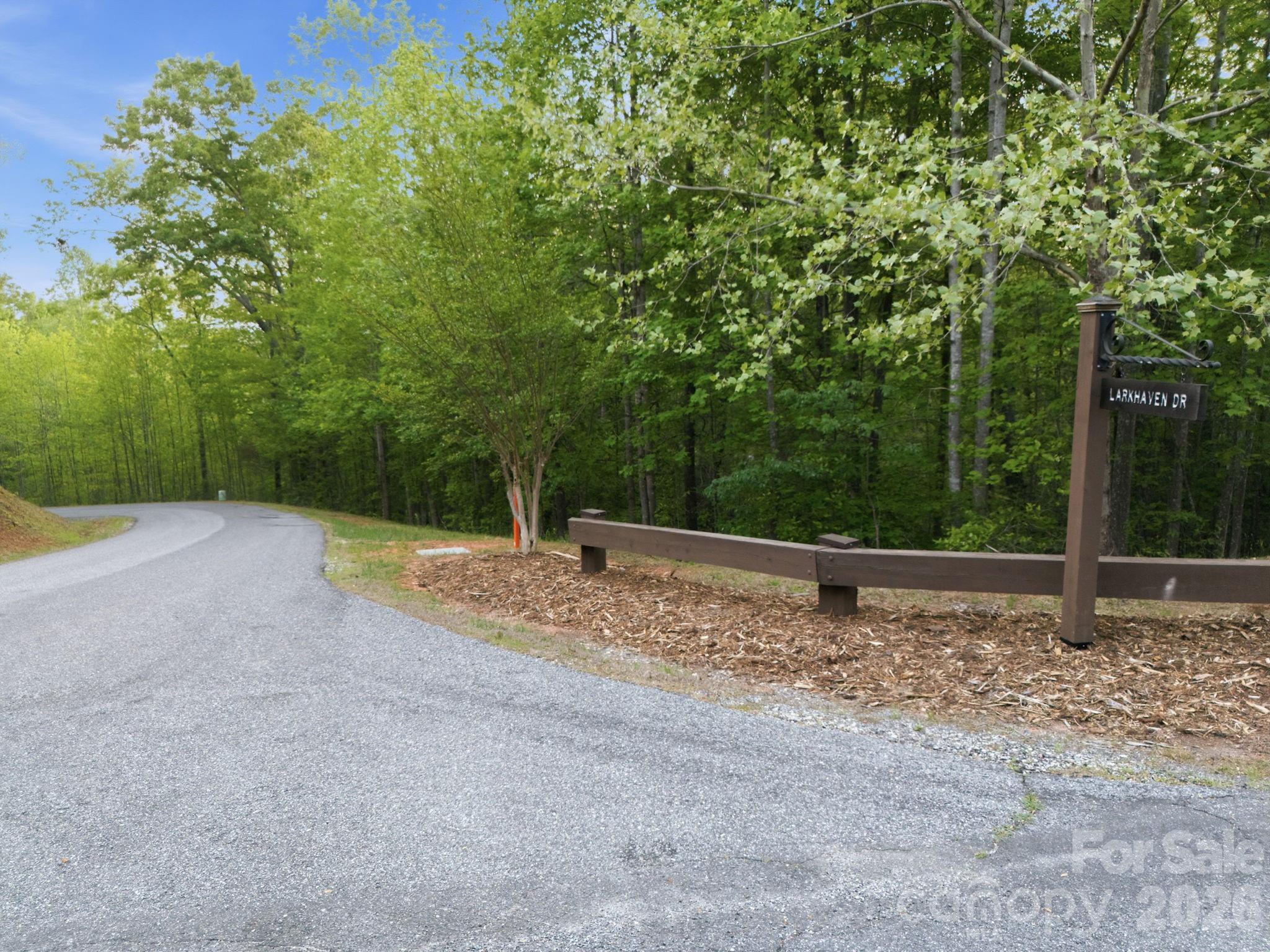 Lot at Lot 40 Larkhaven Drive, Nebo, photo 2 of 20