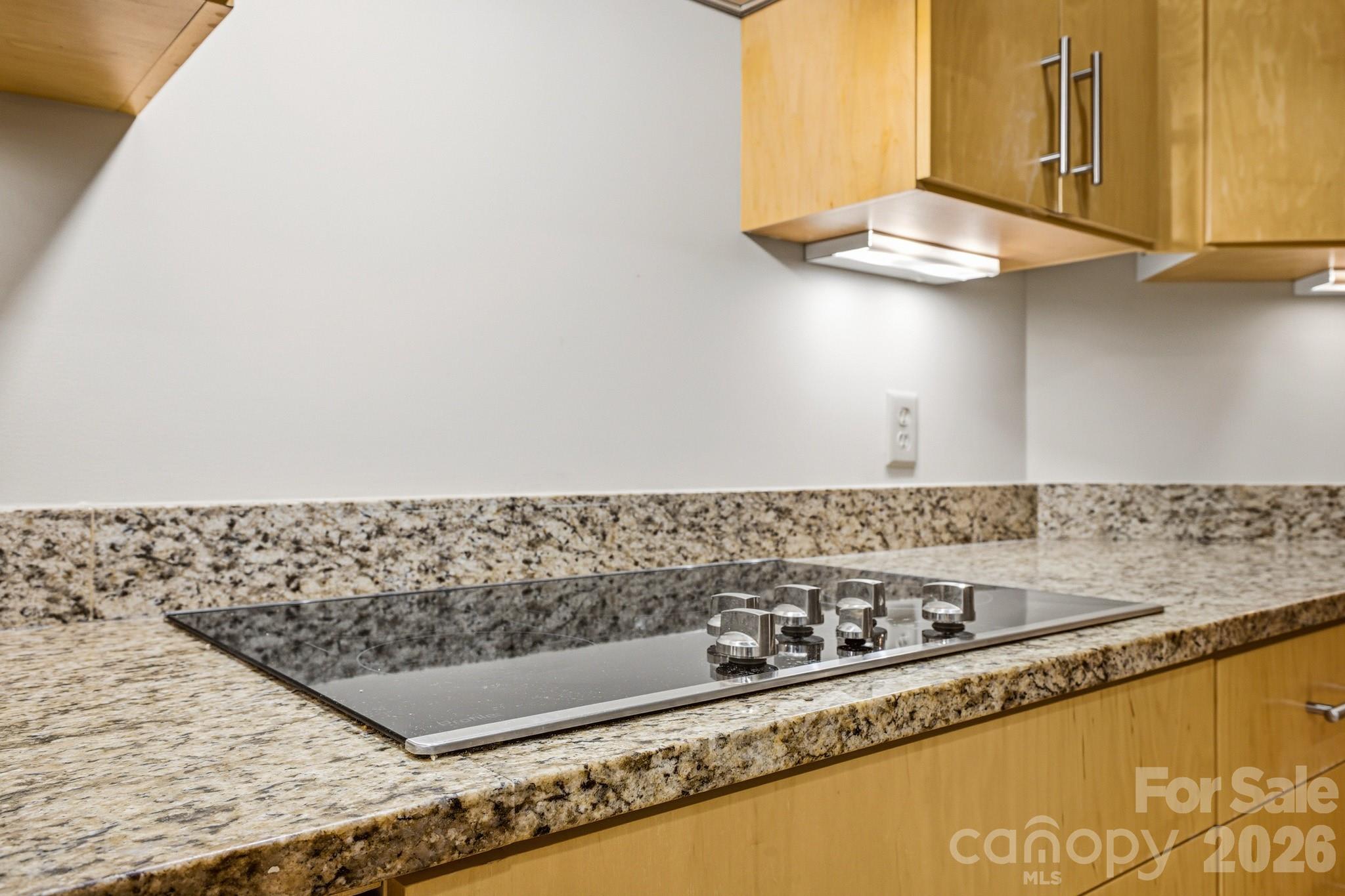 Electric Cook Top with Granite Countertops - 21 Battery Park Avenue, Asheville