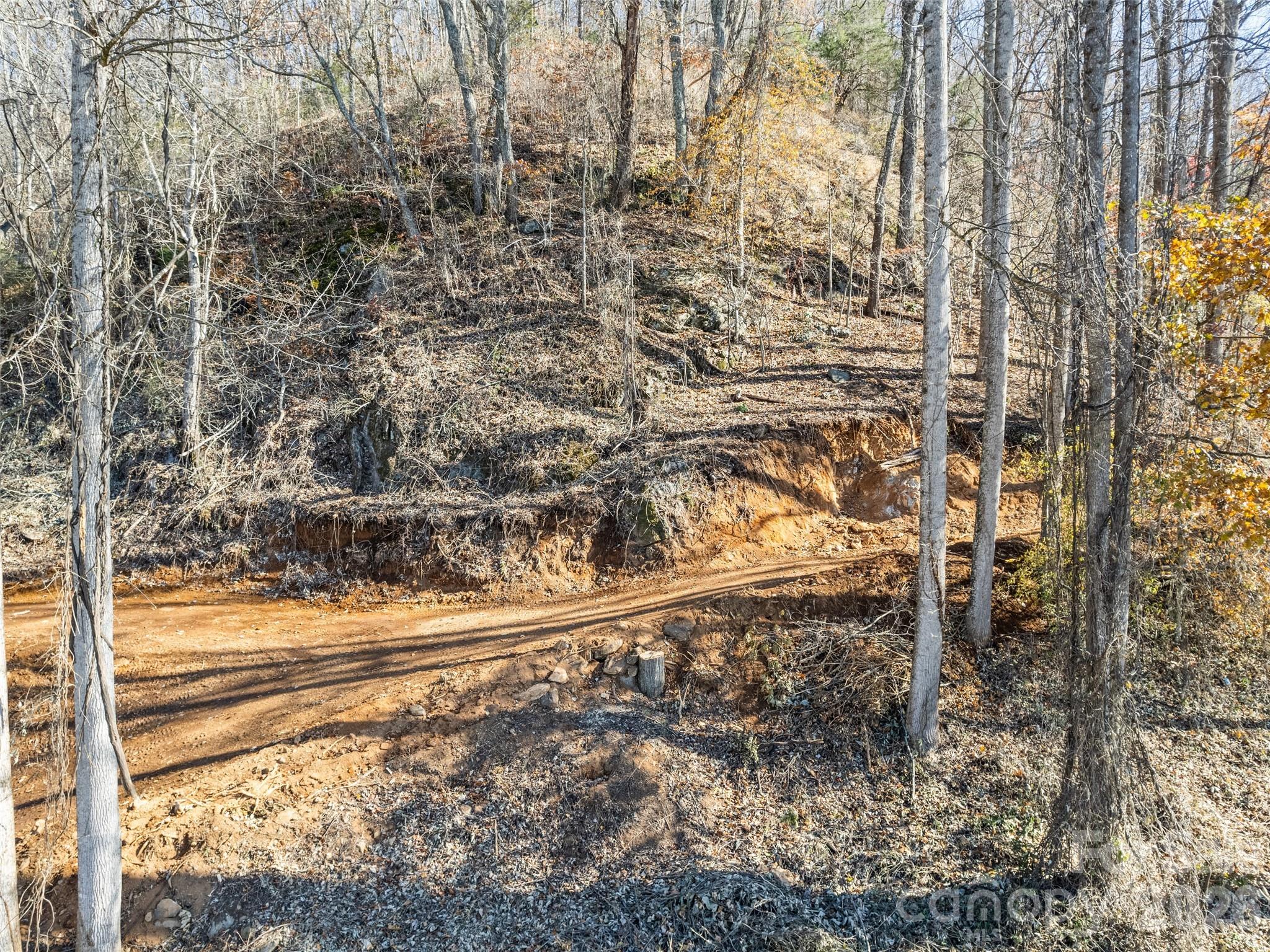 Lot at Tract 3: Lot 4 White Birch Drive, Sylva, photo 4 of 7