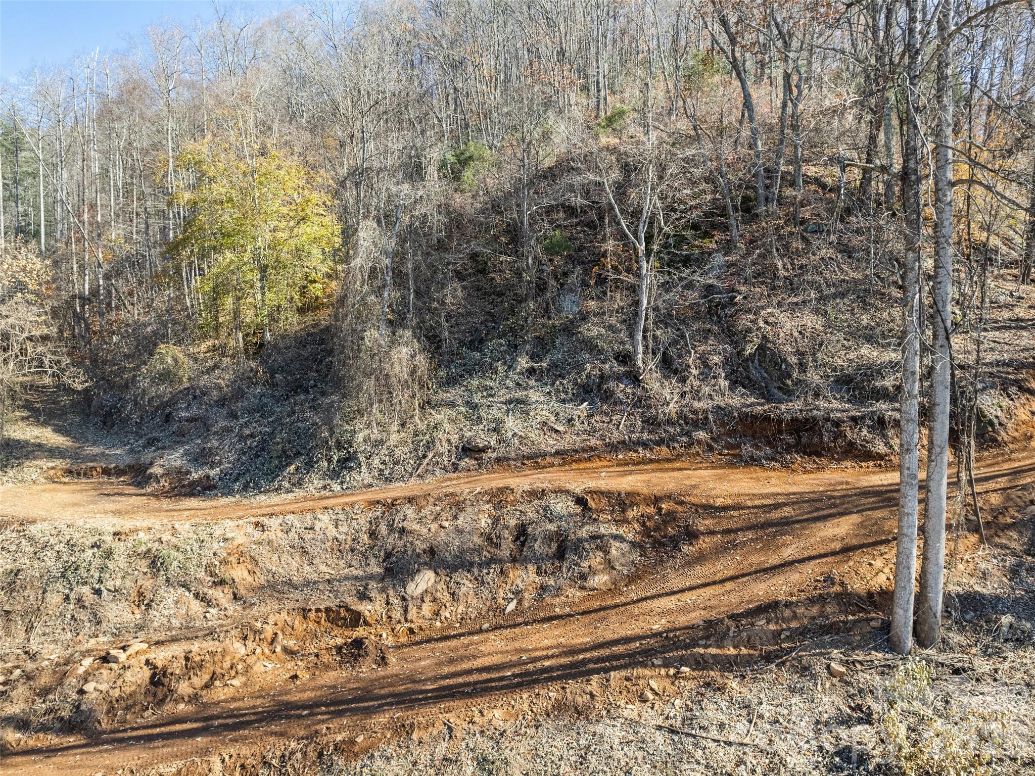 Lot at Tract 3: Lot 4 White Birch Drive, Sylva, photo 5 of 7