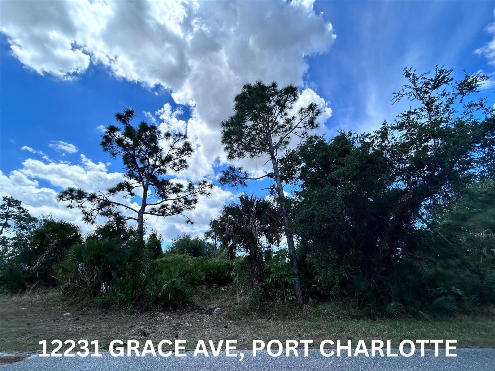 View from Elvington Rd - 12231 GRACE AVE, PORT CHARLOTTE