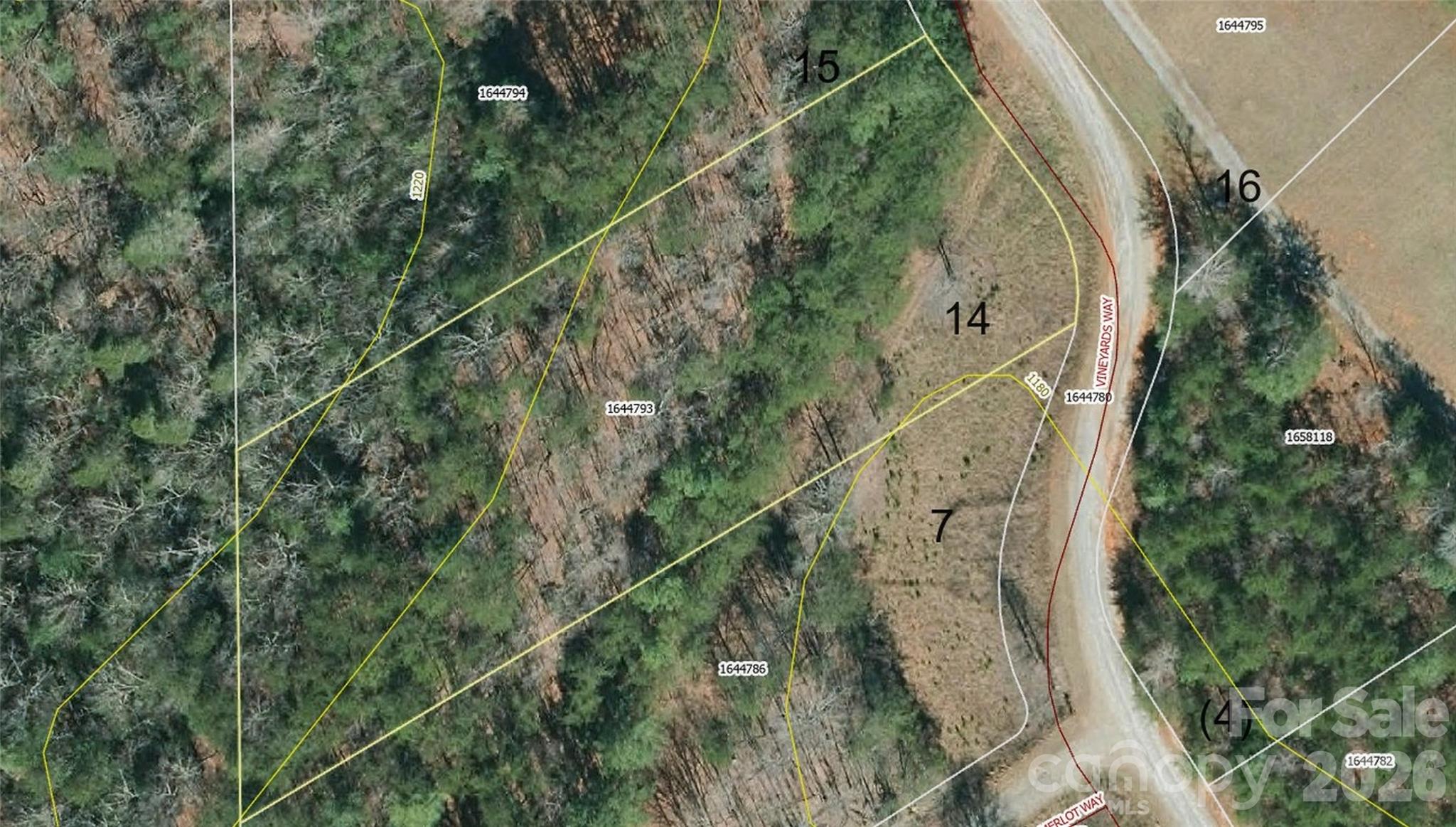 Acreage at 0 Vineyards Way, Lake Lure, photo 4 of 15