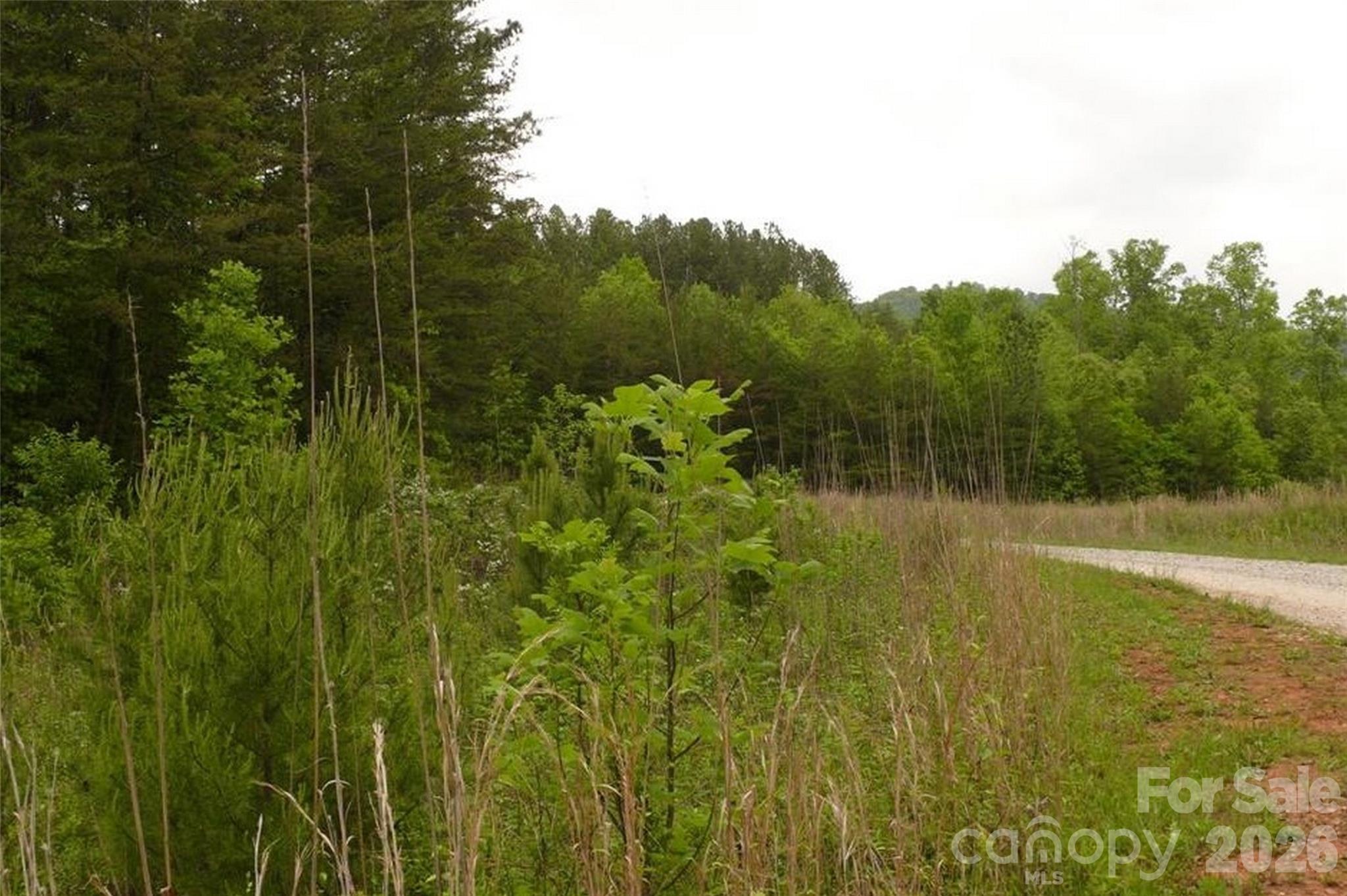Acreage at 0 Vineyards Way, Lake Lure, photo 5 of 15