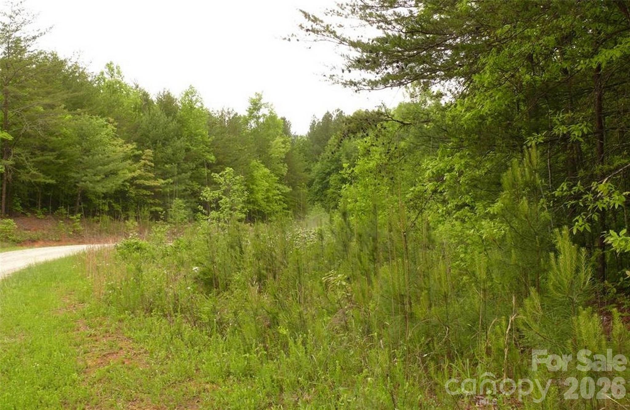 Acreage at 0 Vineyards Way, Lake Lure, photo 6 of 15