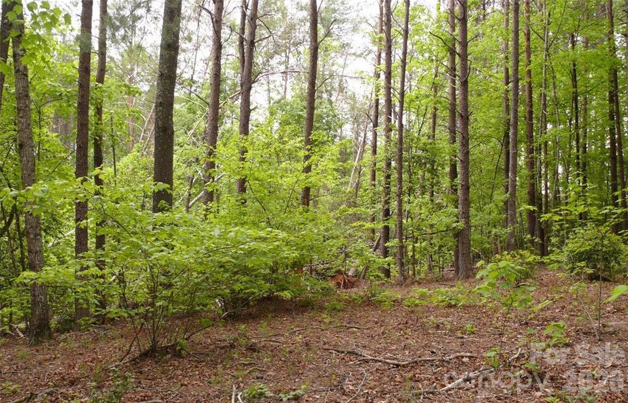 Acreage at 0 Vineyards Way, Lake Lure, photo 8 of 15