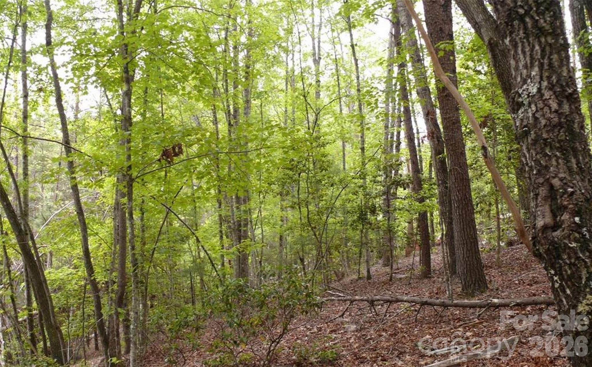 Acreage at 0 Vineyards Way, Lake Lure, photo 10 of 15
